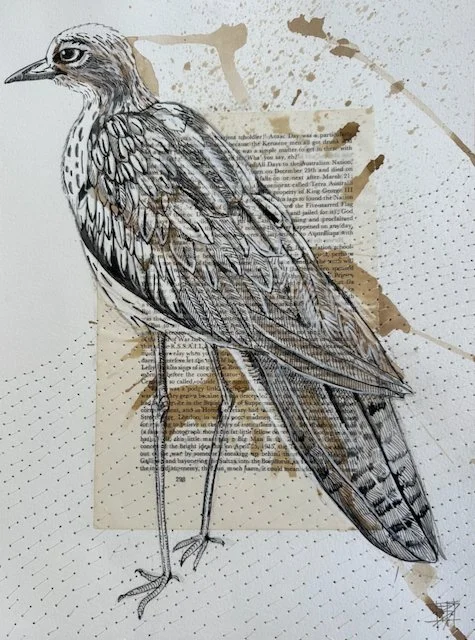 'Night Caller'

Burhinus grallarius

Bush Stone-curlew, Stradbroke Island QLD

Natural inks, collage and stitching on watercolour paper 40 x 30 cm framed in oak under glass
$500