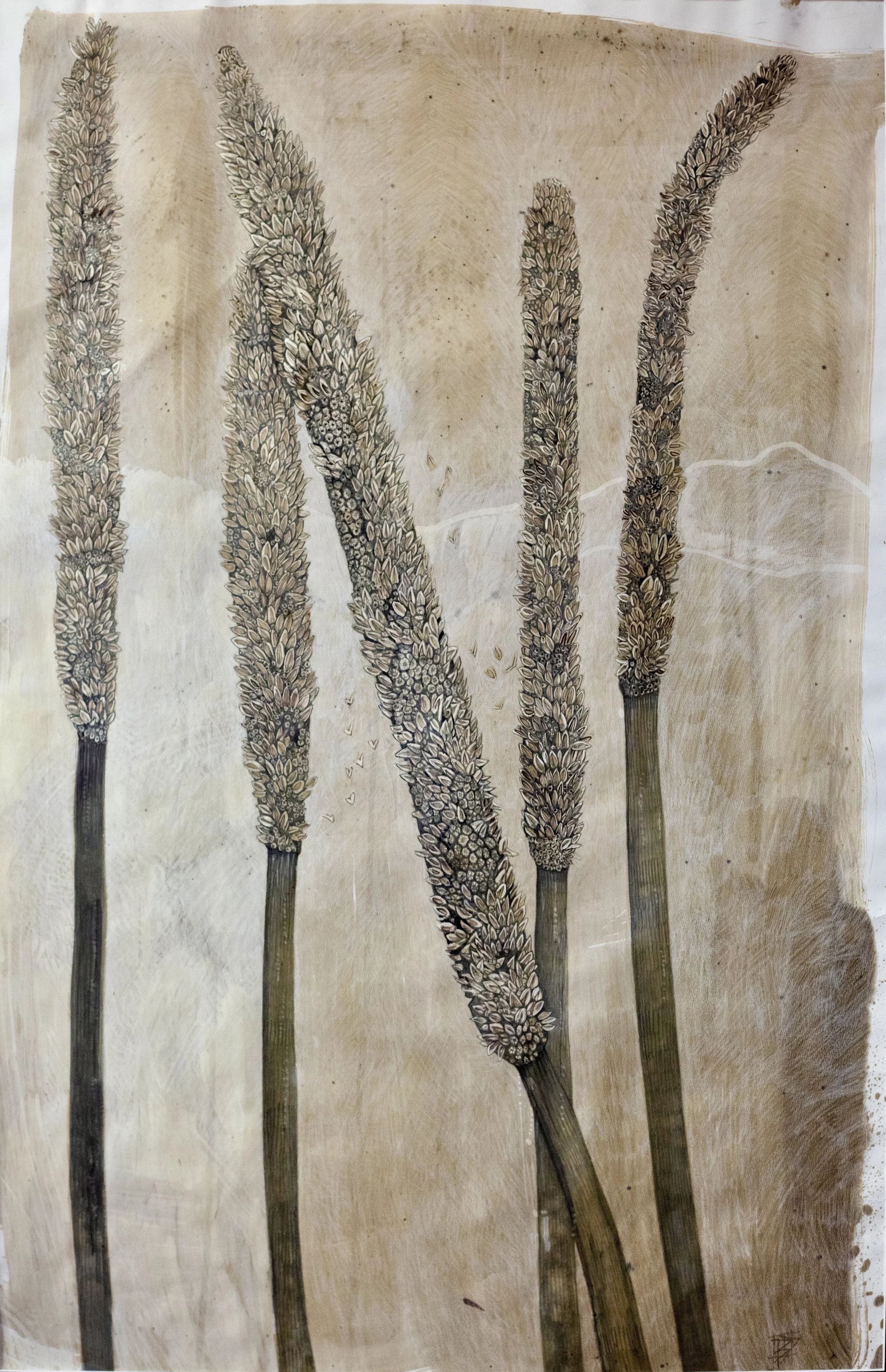 'After the Fire' 
Graphite ink, pastel and charcoal on paper. framed in oak and non reflective glass.                                                                      128 x 89 cm 
2020 : the summer fires raged through our national parks.  2021 I 