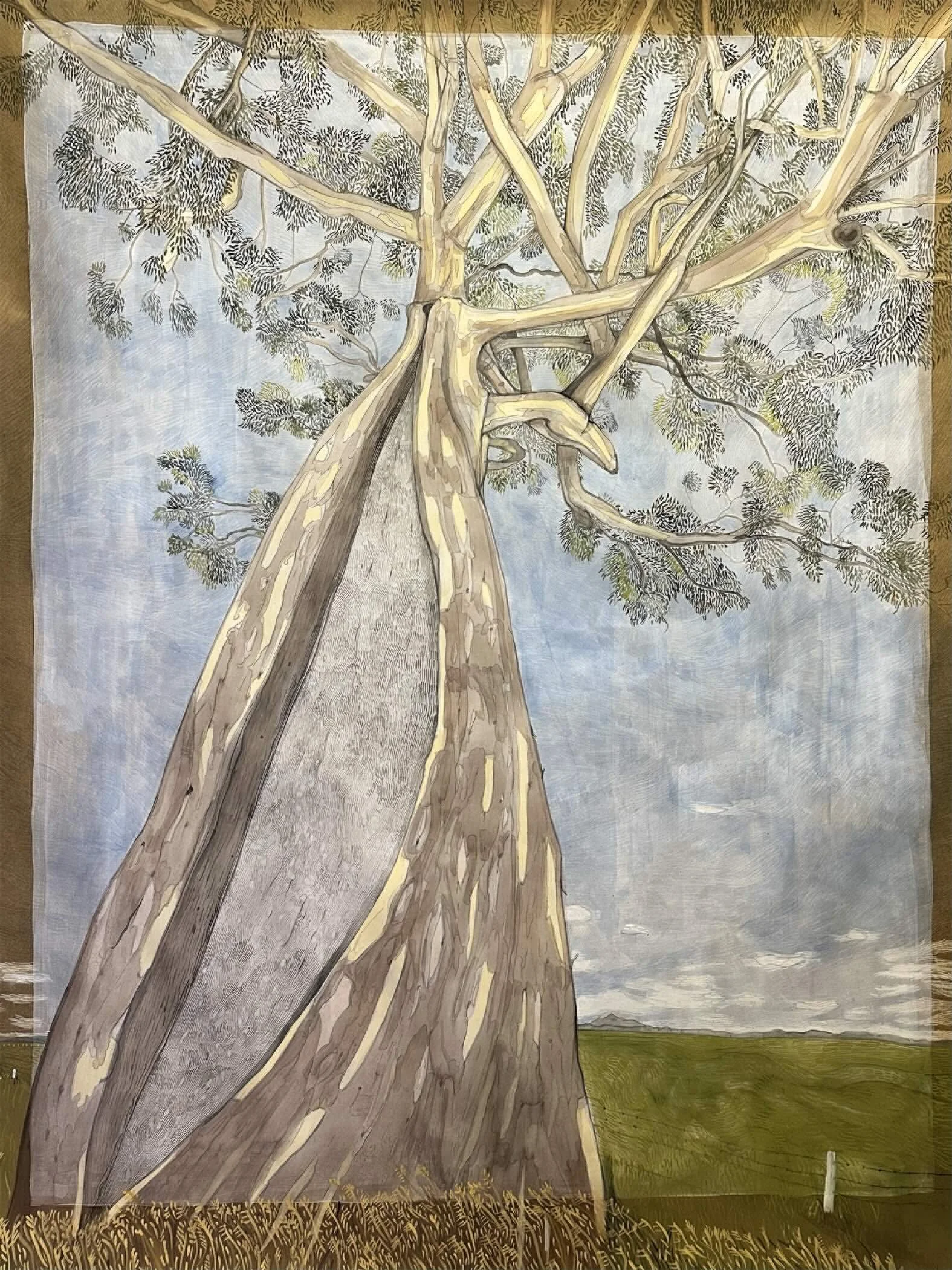 Where Once a River Flowed

2024

Natural inks pigments, guache, watercolour,  graphite paint on acid free paper

140 x 110 cm

This work considers the Canoe-Scar Tree of Bromelton as a cultural and ecological marker within the landscape of southeaste