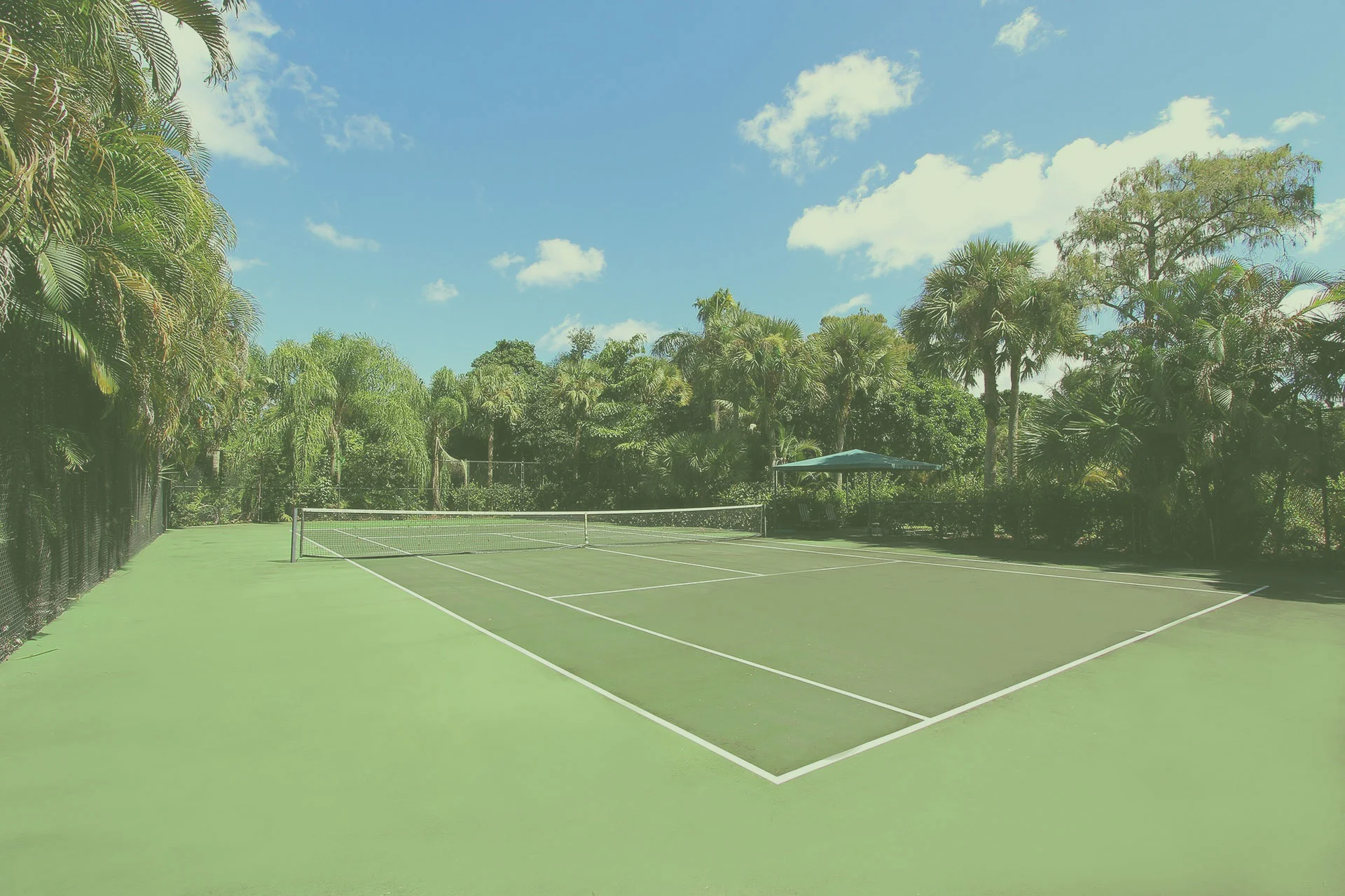 tennis-1515973_1920-(1).jpg