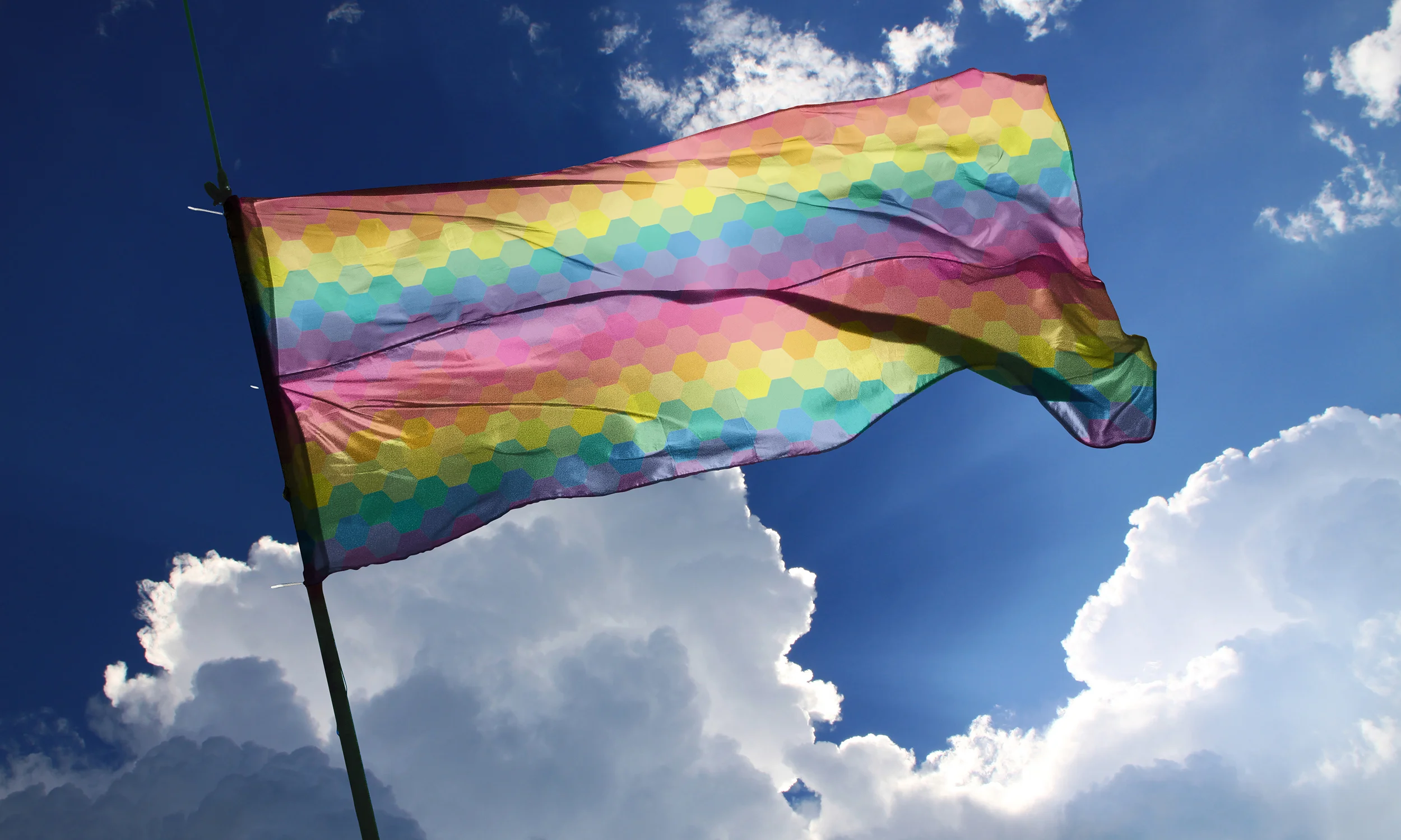 OF_Flag_1.jpg