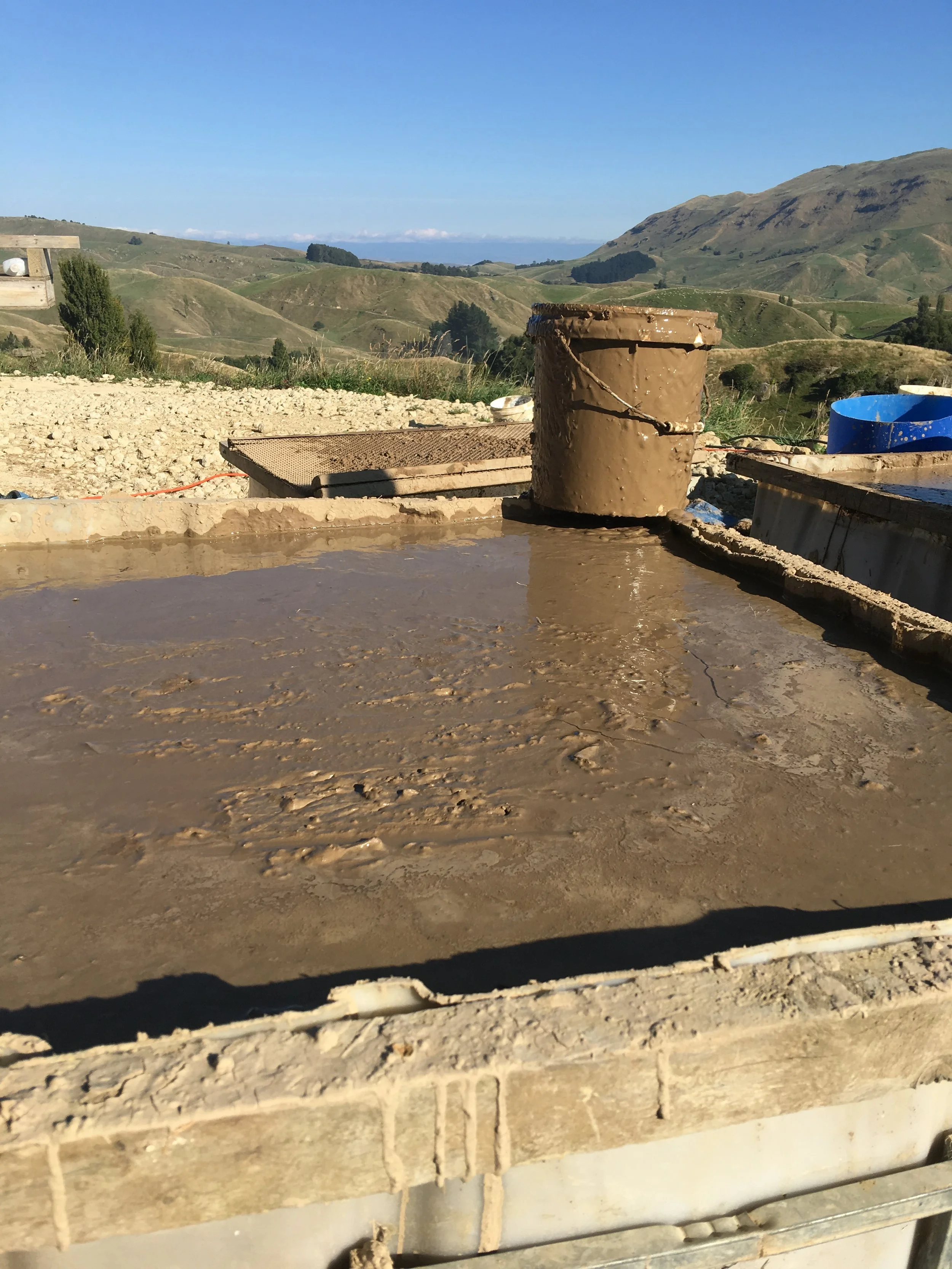 Blog 27: Plastering and more...