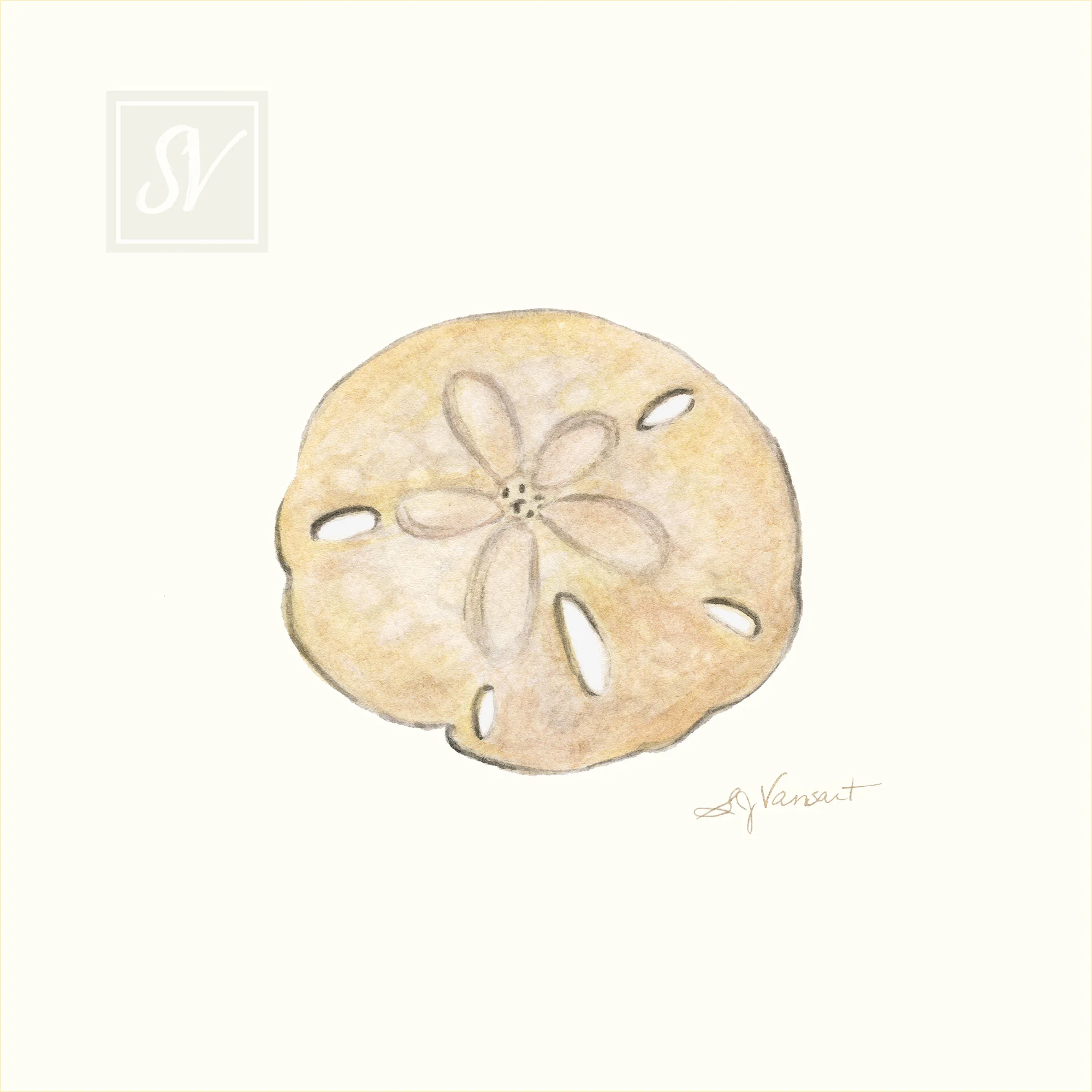 WMSandDollar-web.jpg