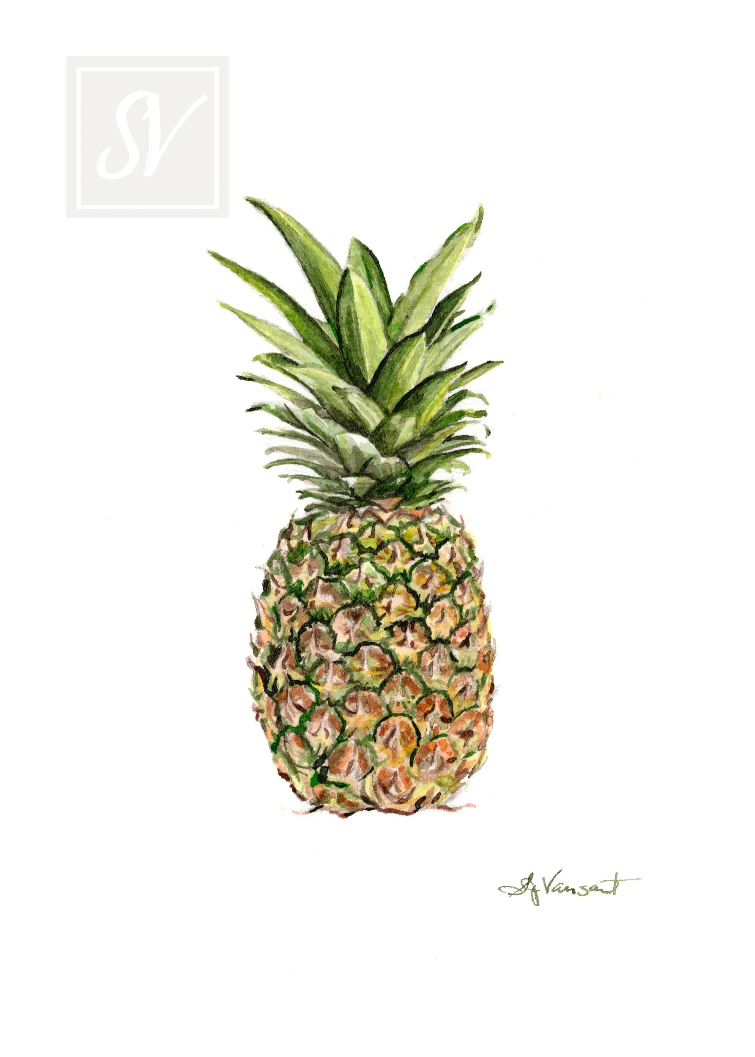 WMVansantS--Pineapple-5x7-880-WT-v3.jpg