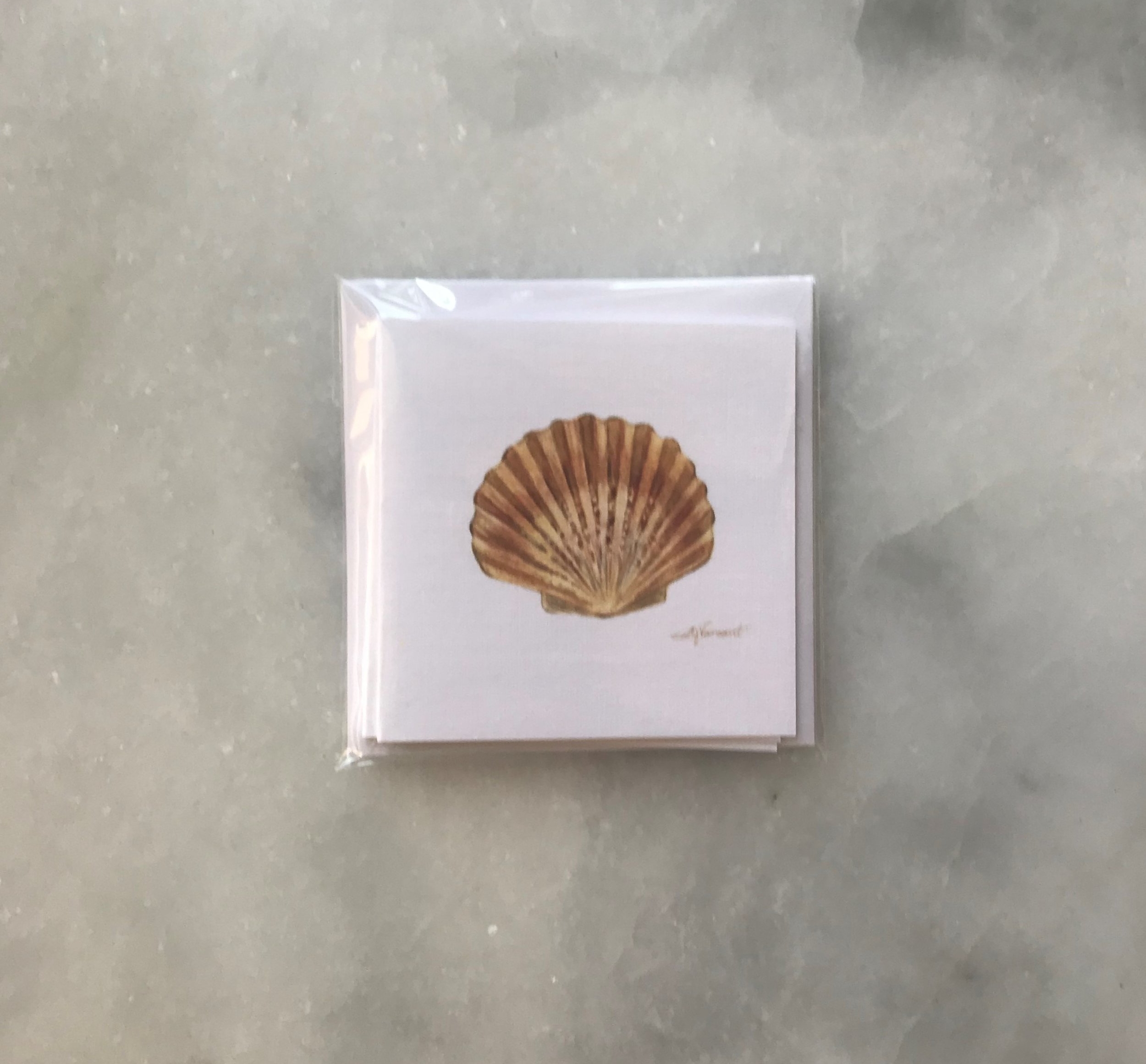 scallop3pack.jpg