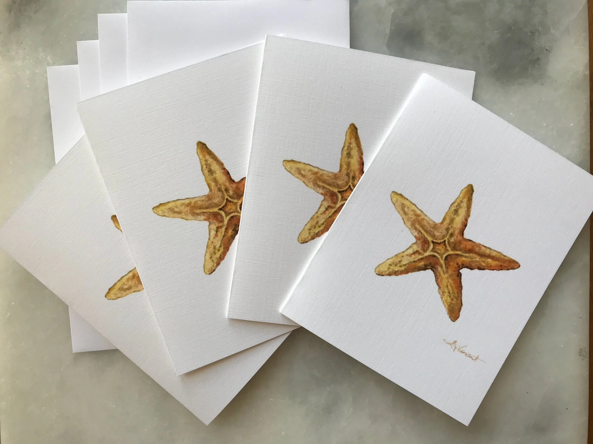 starfish4cards.jpg