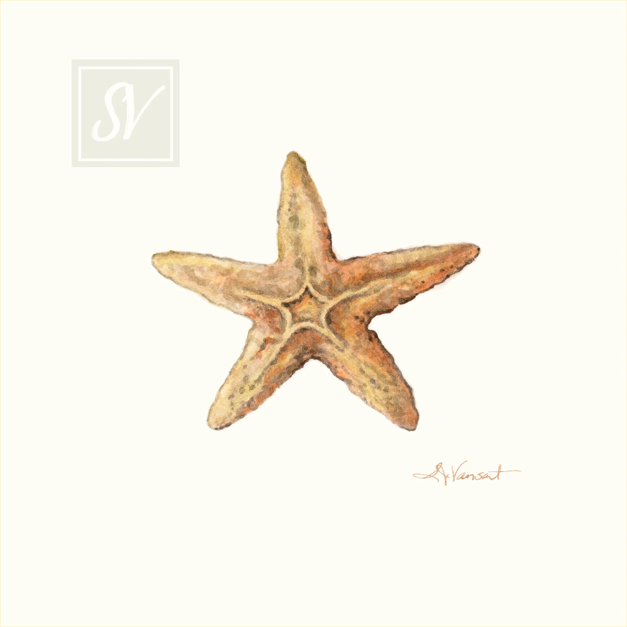 WMStarfish-web.jpg