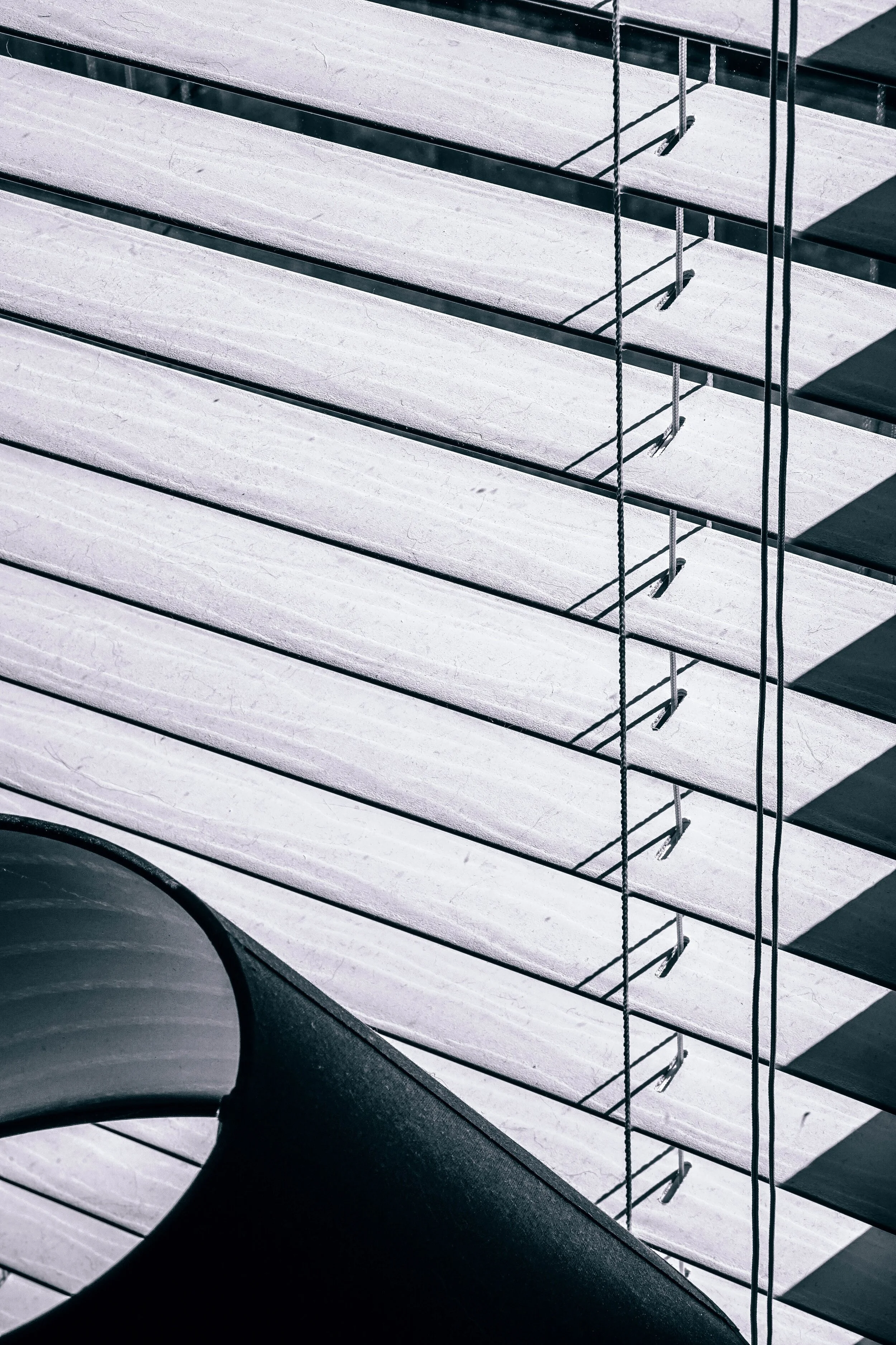 angle-black-and-white-blinds-405824.jpg
