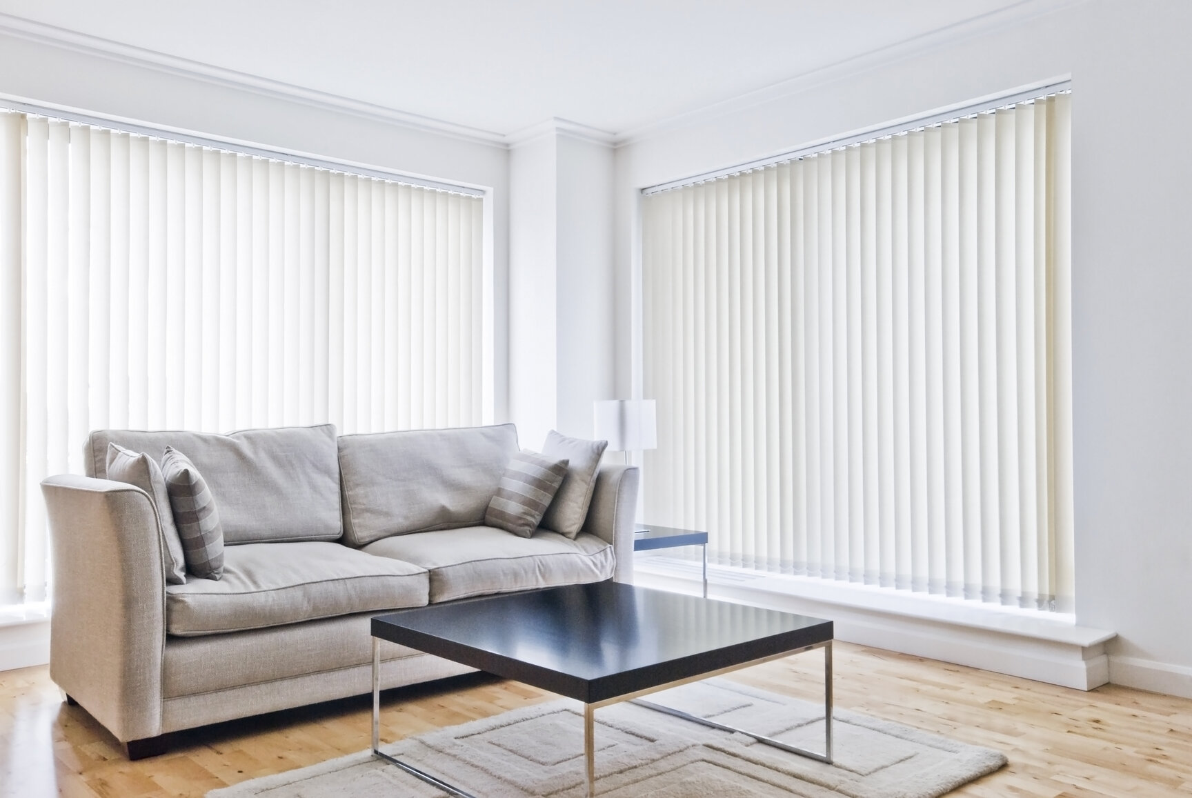 vertical blinds - living room.jpg