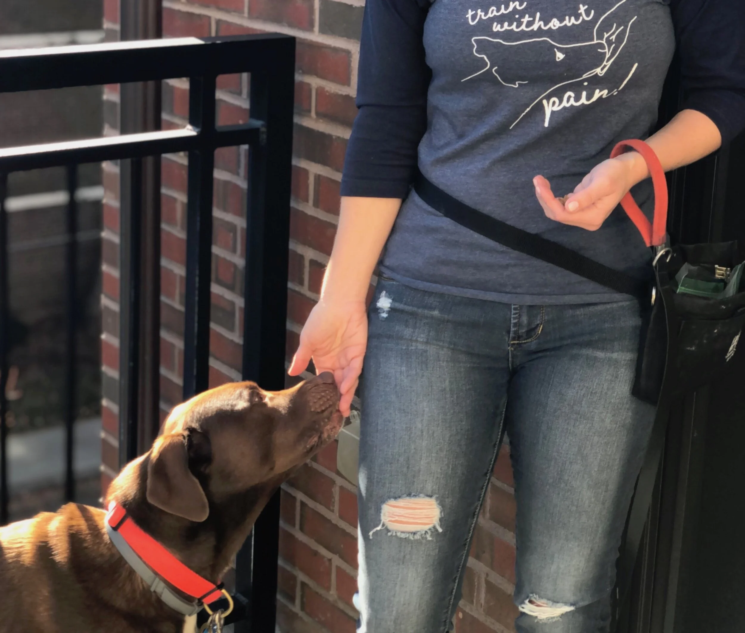 Kindness is Cool (and Free)