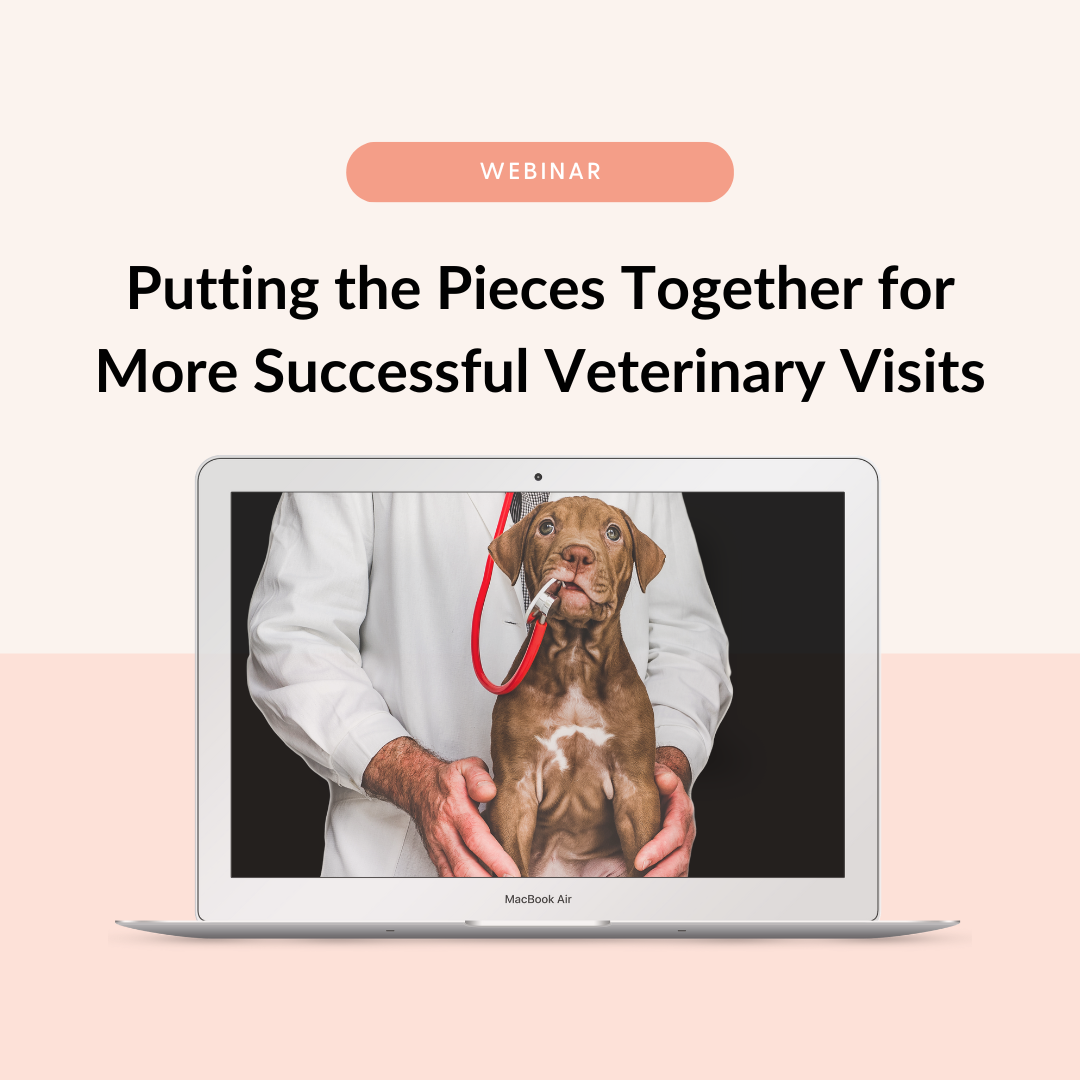 Vet Visti Webinar-2 copy.png