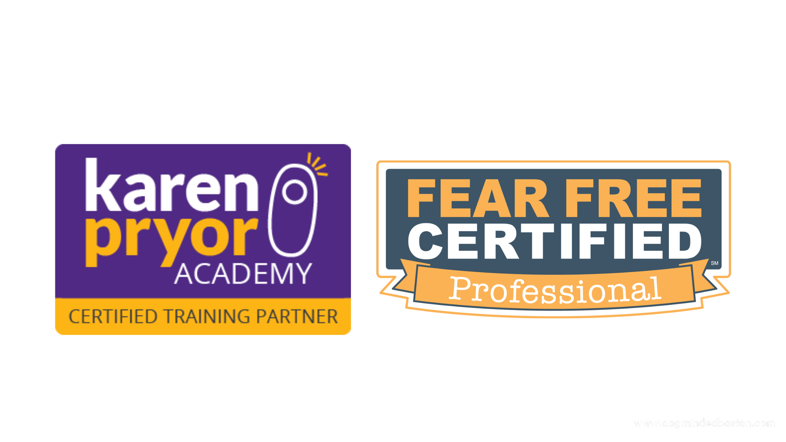 Dynamic Dog Assessment Feedback Dogminded Modern Dog Training