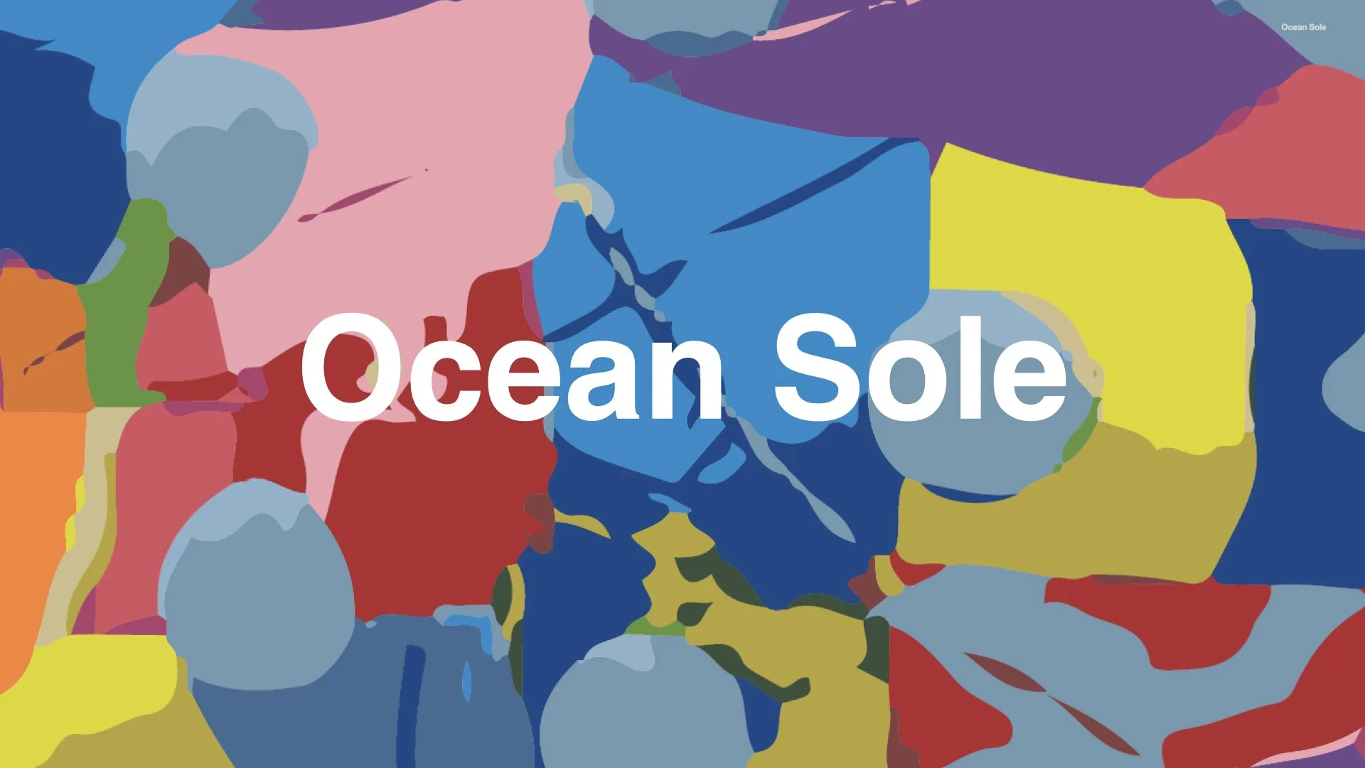 ocean sole_portfolio-slide 1jpeg.jpeg