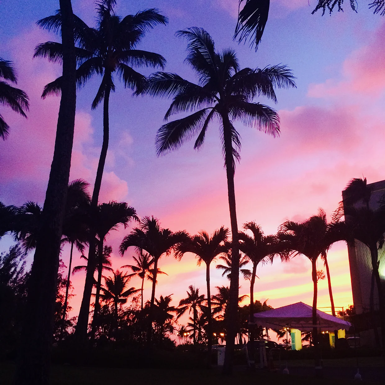 sunset.jpg