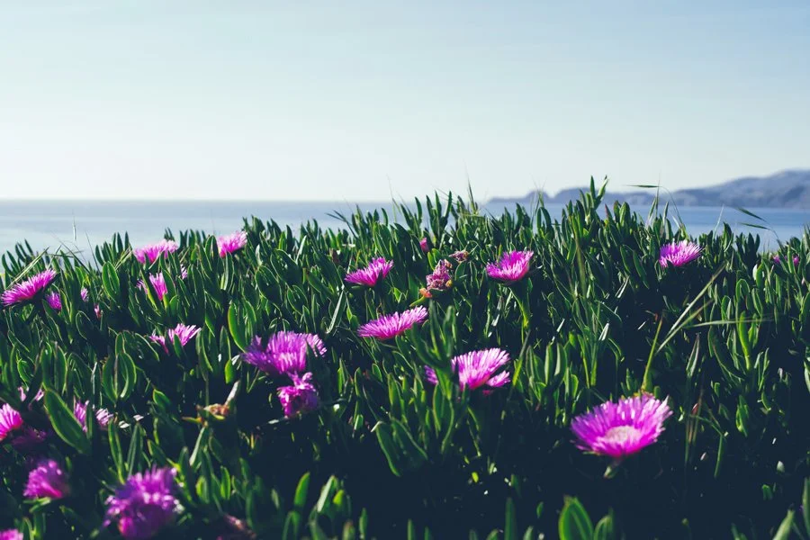 Spring Break Is Not a Break (And That’s Okay)