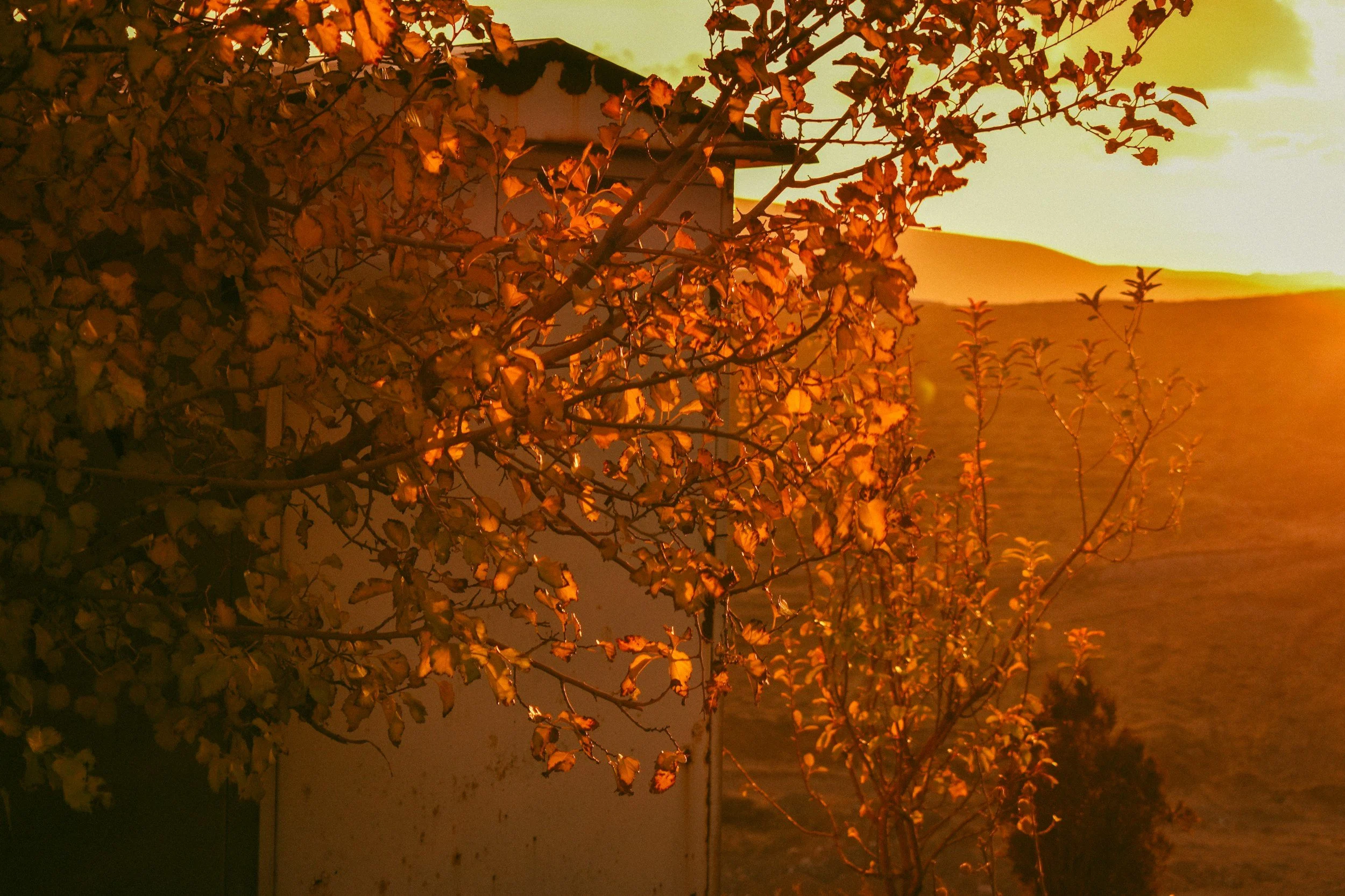Fall Back in Love—How Autumn Makes Marriage Better (If You Let It)