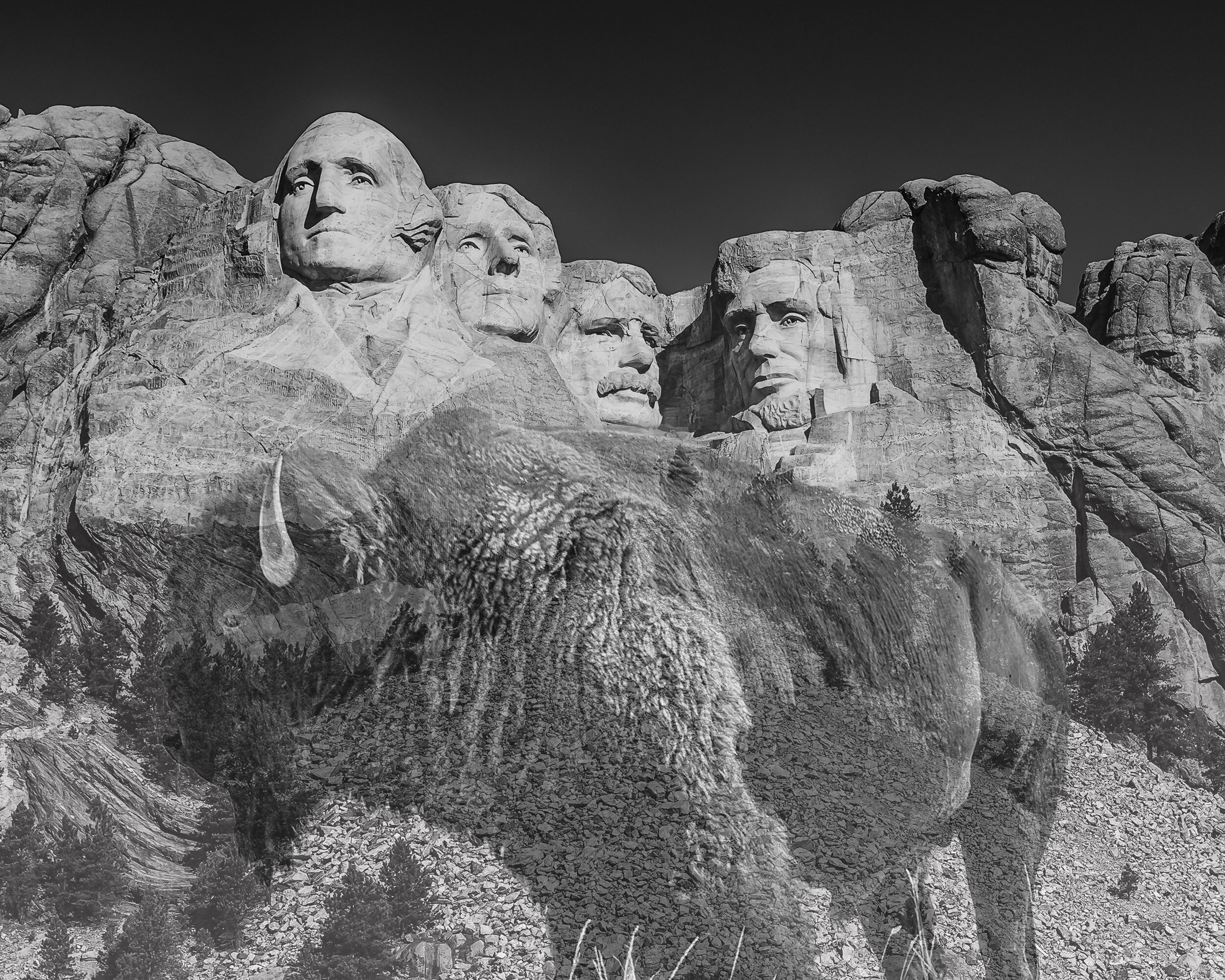 Dakota Pride (Composite)