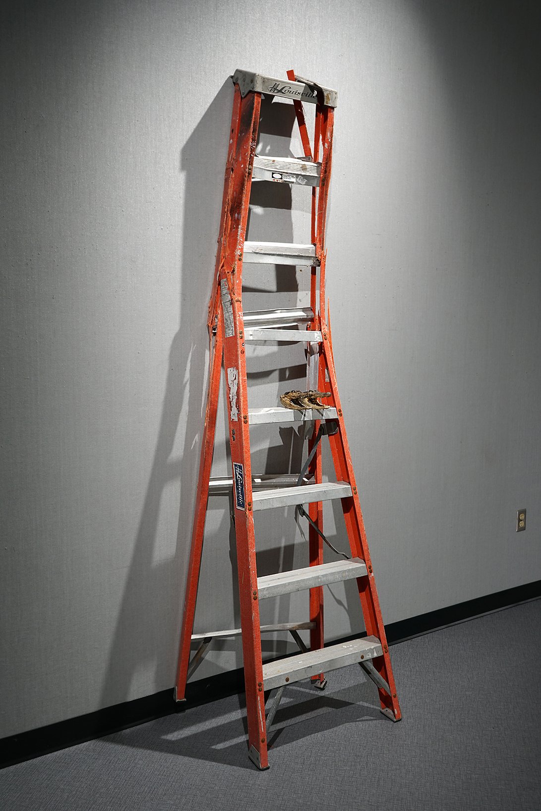 ladder, alligator heads