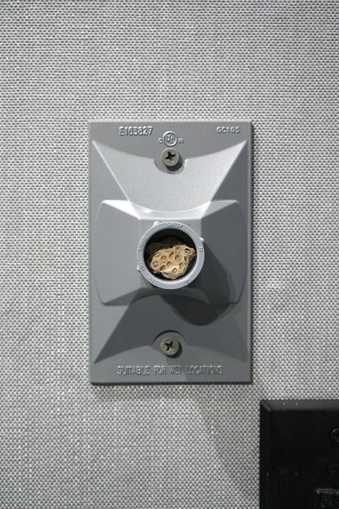 lampholder cover, plastic connector, coral