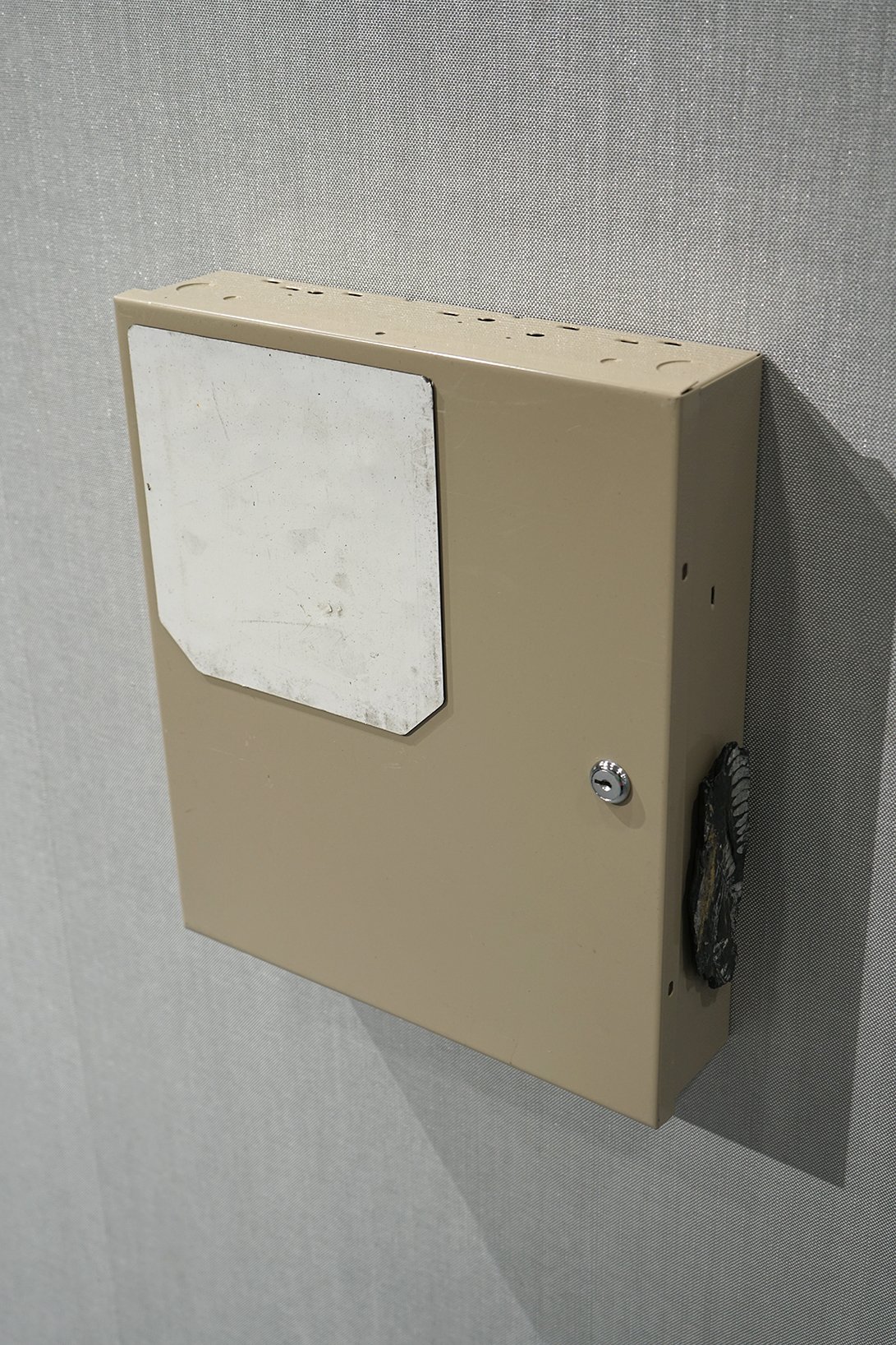 lock box, magnet, fossil
