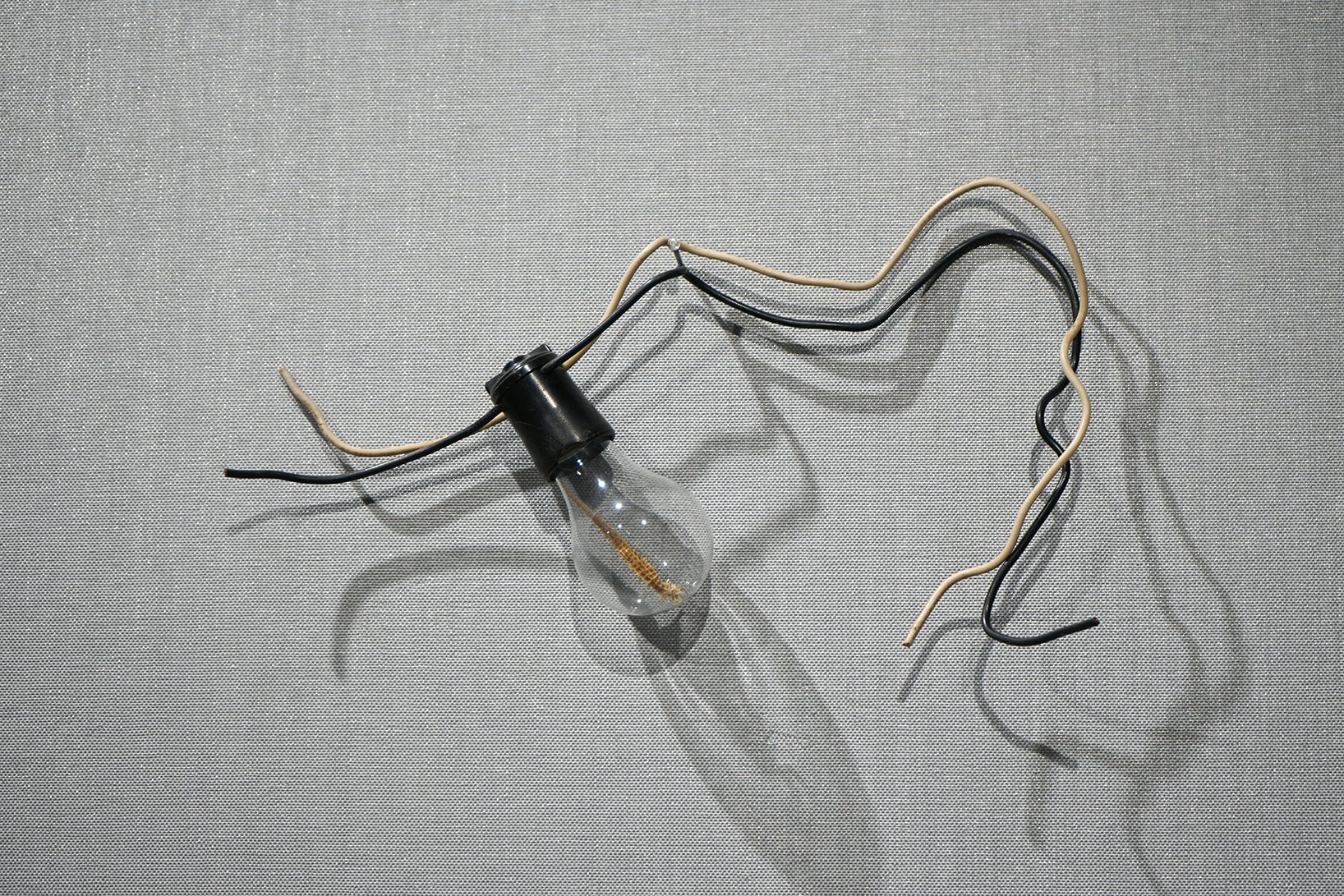 hardware, light bulb, seahorse