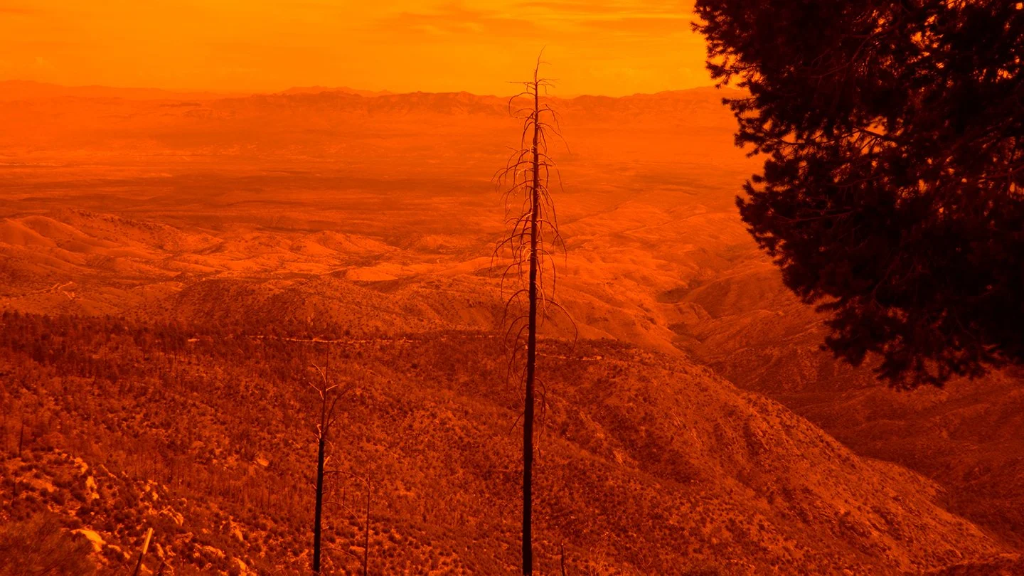 Ames Mount Lemmon Still 1.jpg