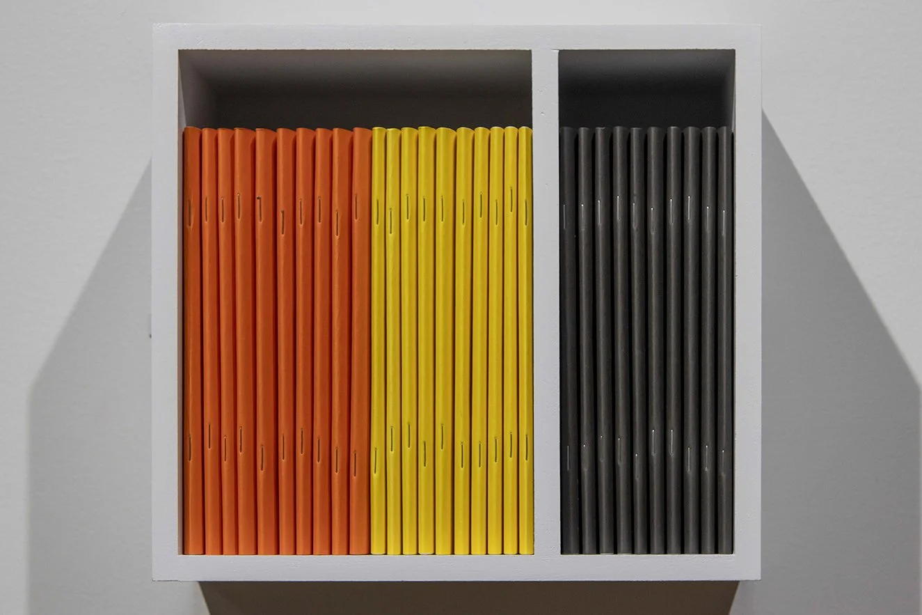   Wildfires, vol. 1 Wildfires, vol. 2 Psychoterratic Poems  zines, shelf 2025-2026 