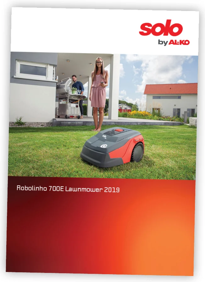 Solo Brochure Robot Flyer  thumbnail.jpg