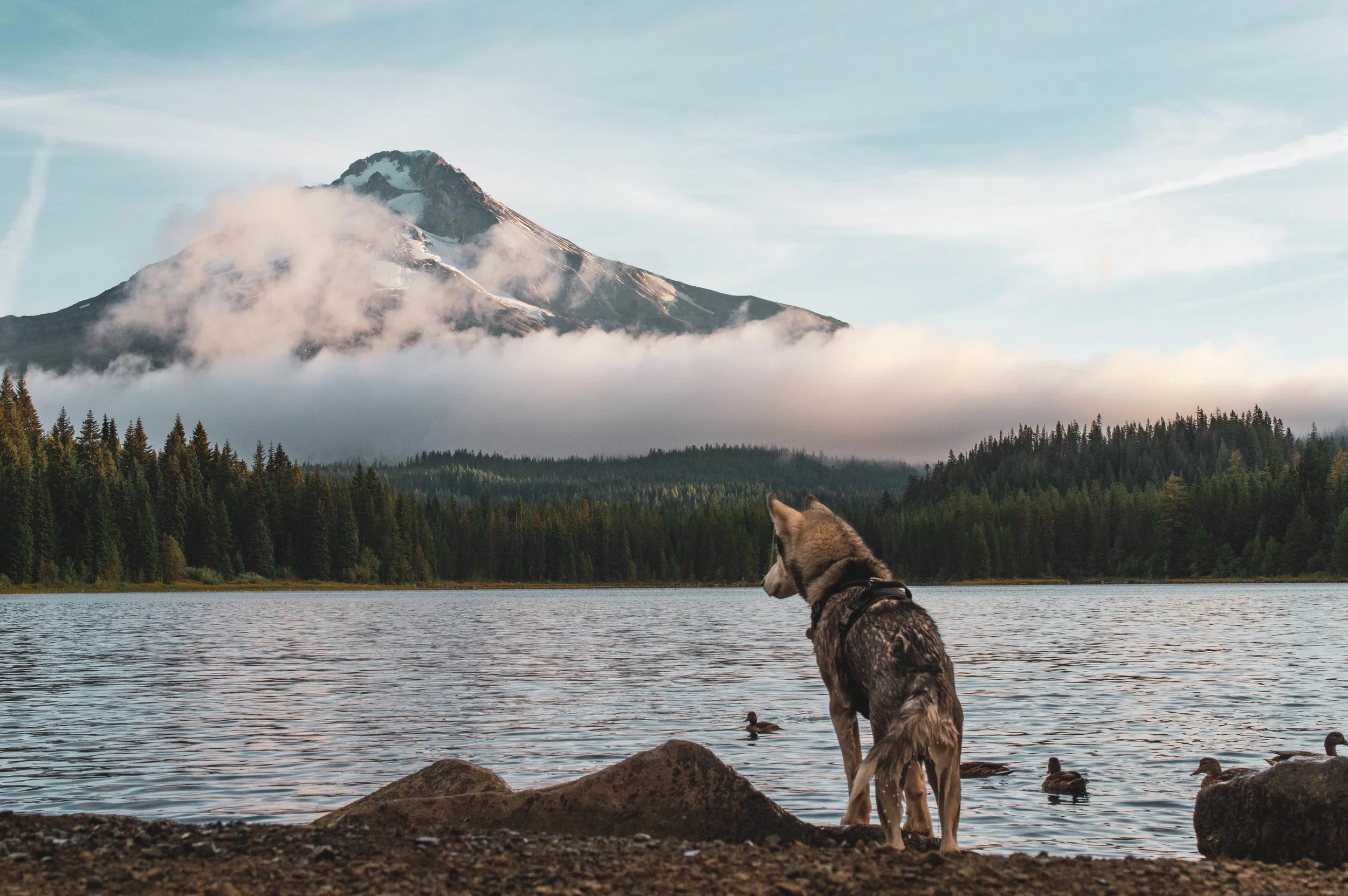 Trillium Lake