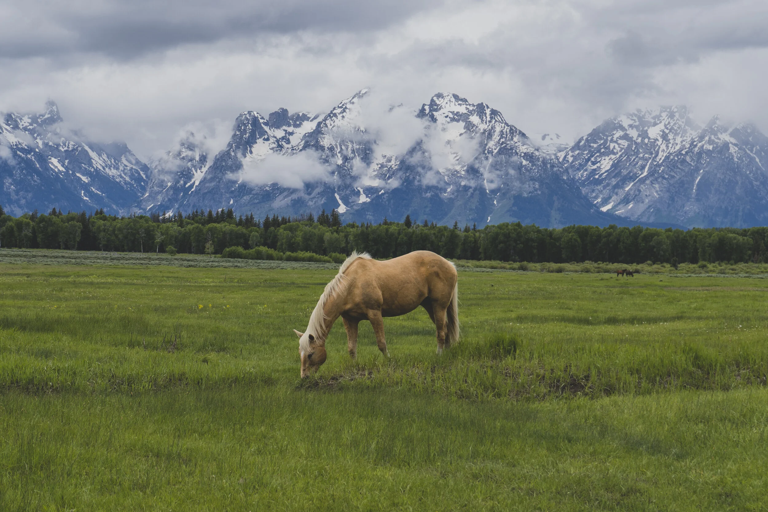 Grand Tetons National Park
