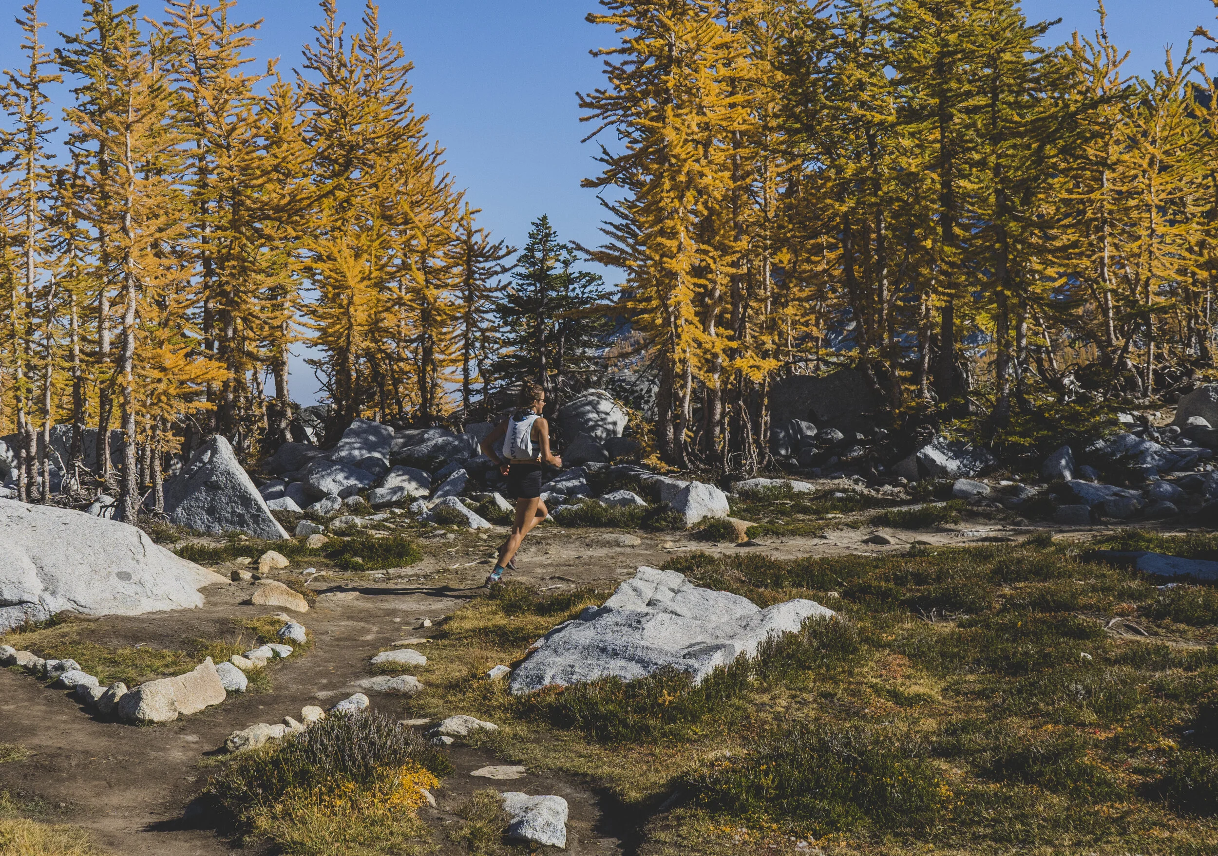 mel thru larches-1003.jpg