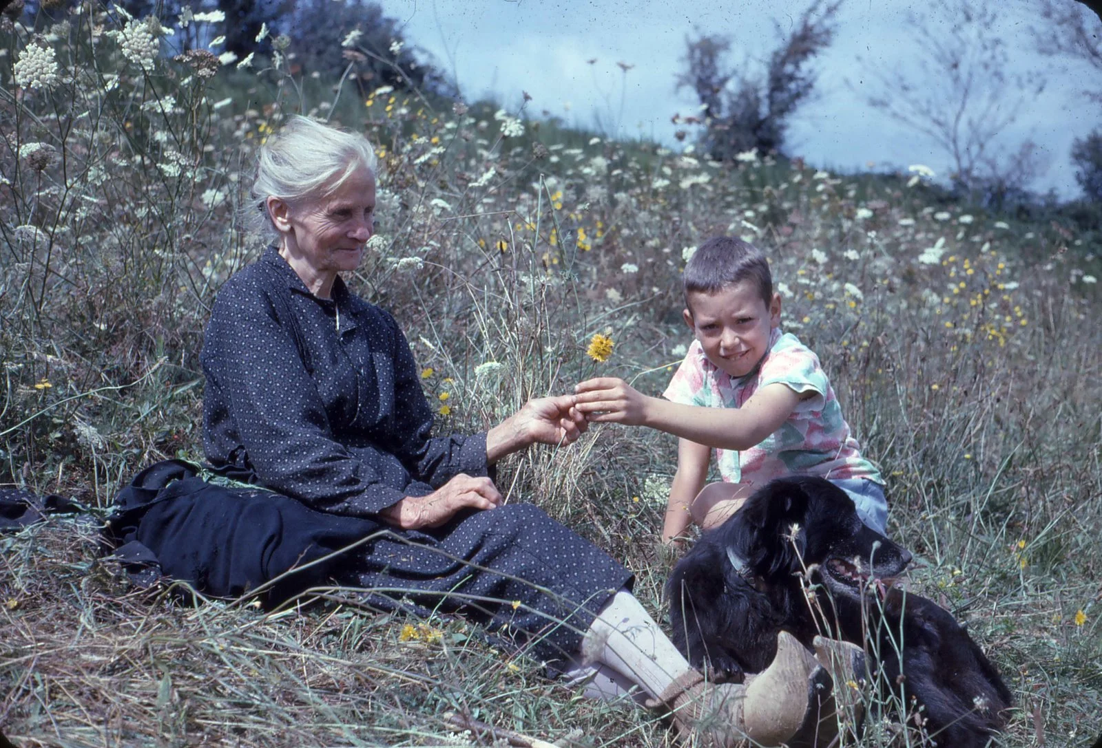 A break for story time with Mémé while we are watching sheep.
