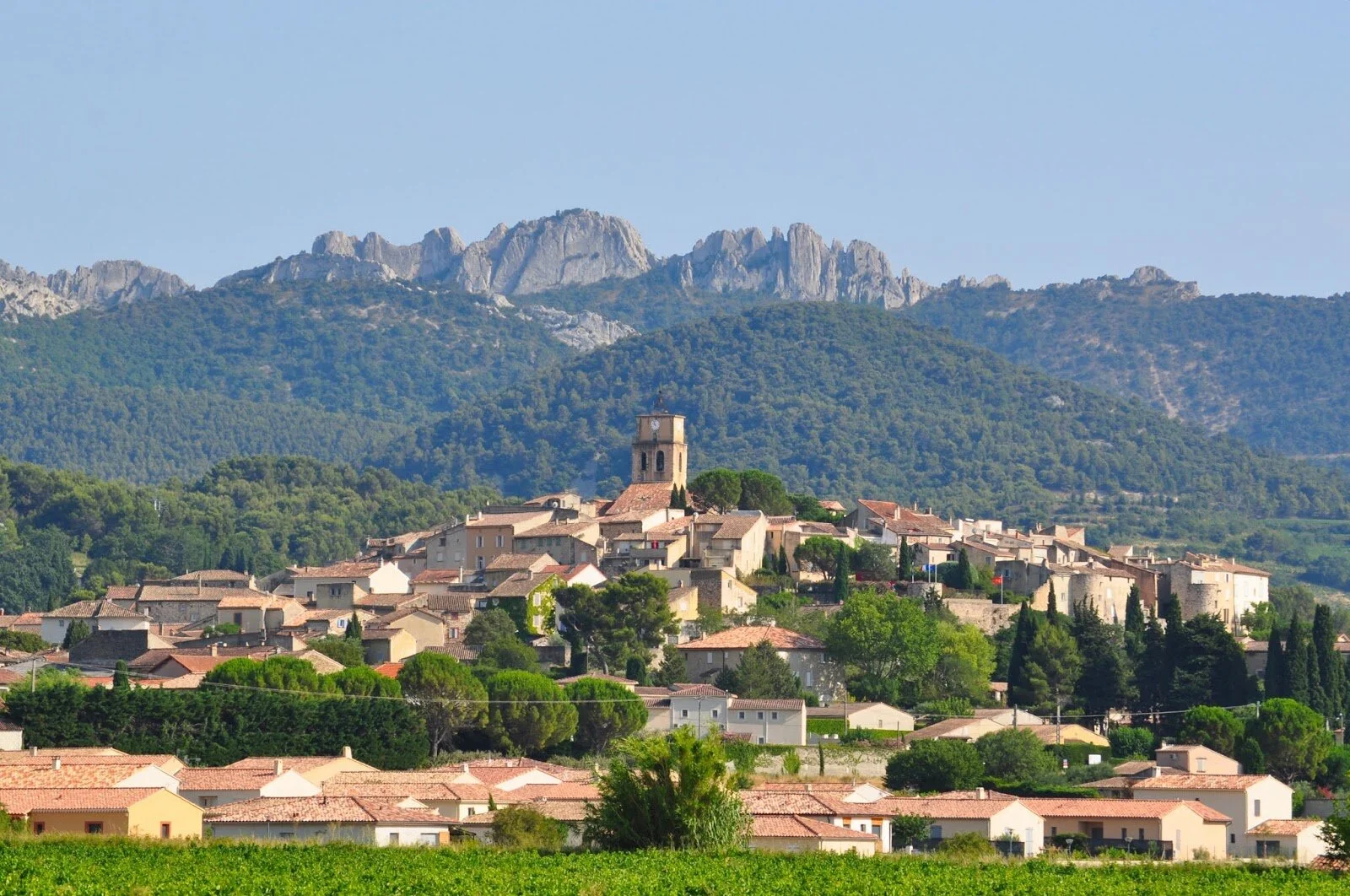 Please sign our Guest Book!