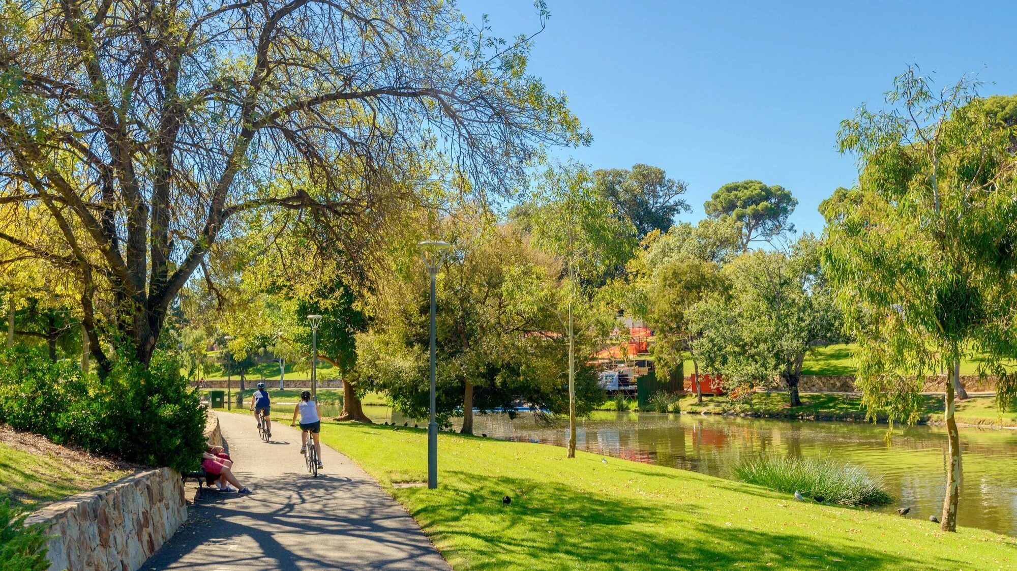 linear park.jpg