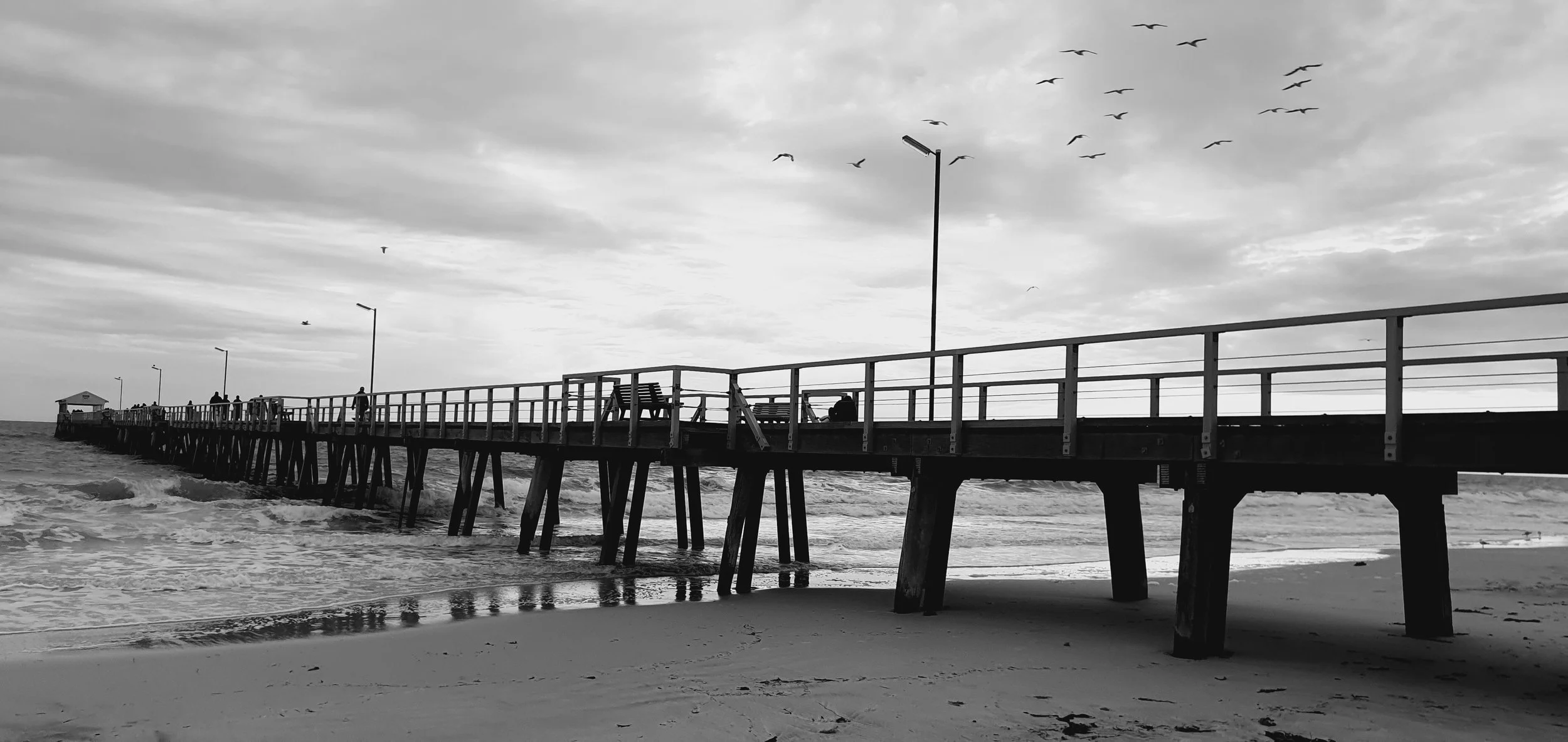 20210919_175327(1).jpg