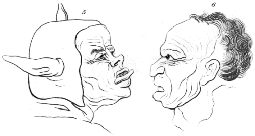 P11-5-6.gif