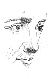 P22-8.gif