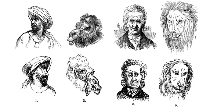 Figure 10 Top. original Redfield wood-engravings 1853. Bottom The Anthropological Review copies 186