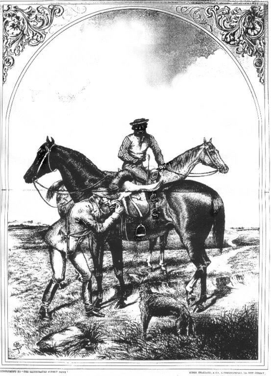 Illus Syd. News 1876 May litho-supp