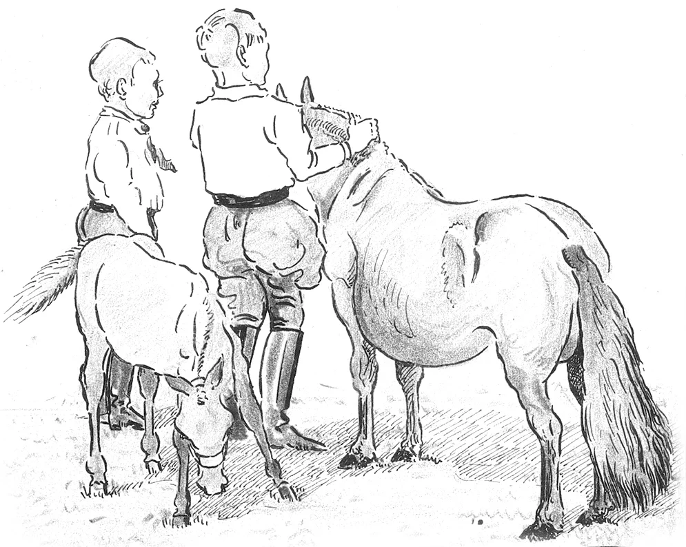Tekening van Bernard met potlood en inkt.