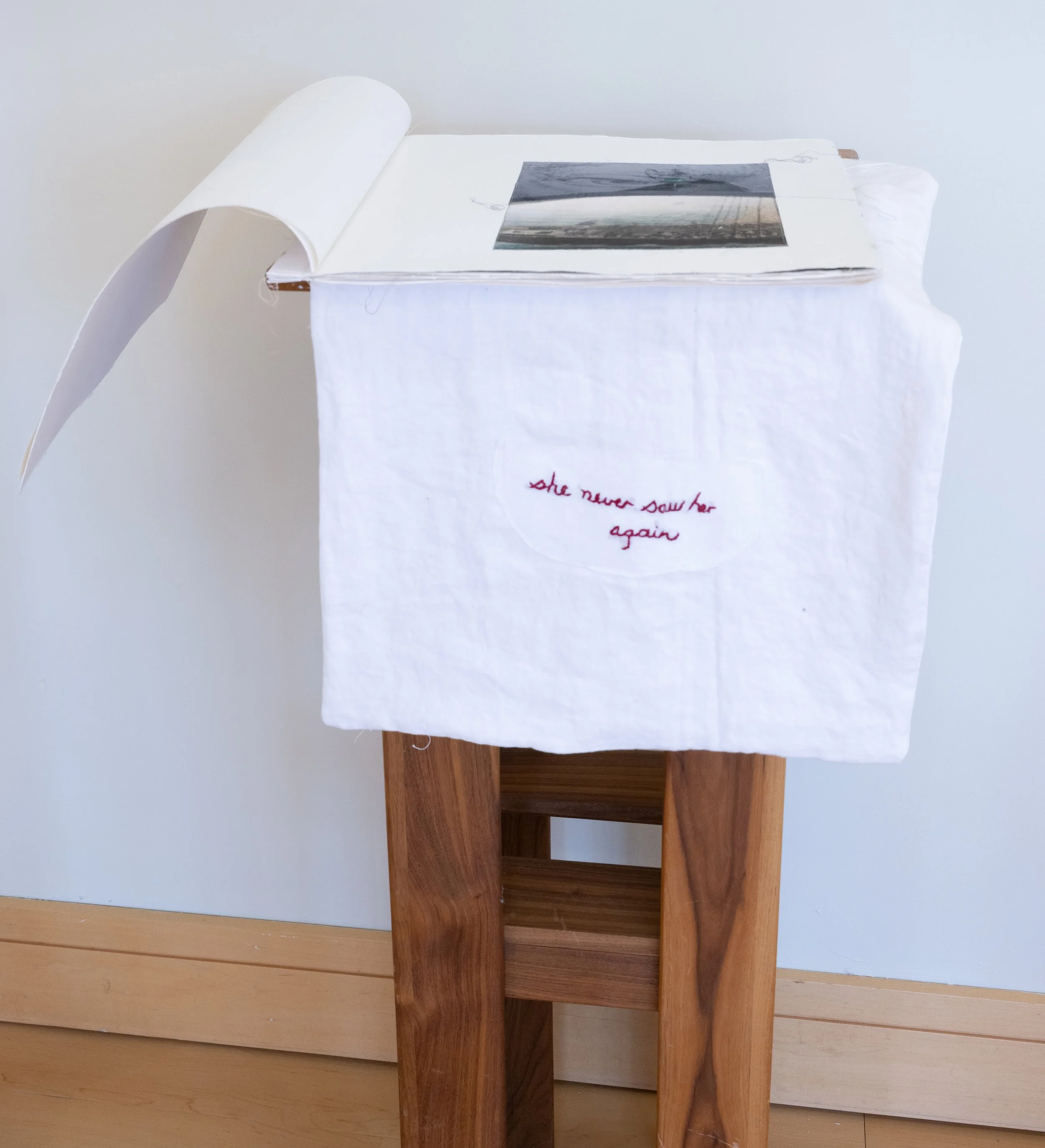 she never saw her again by Pamela Heemskerk