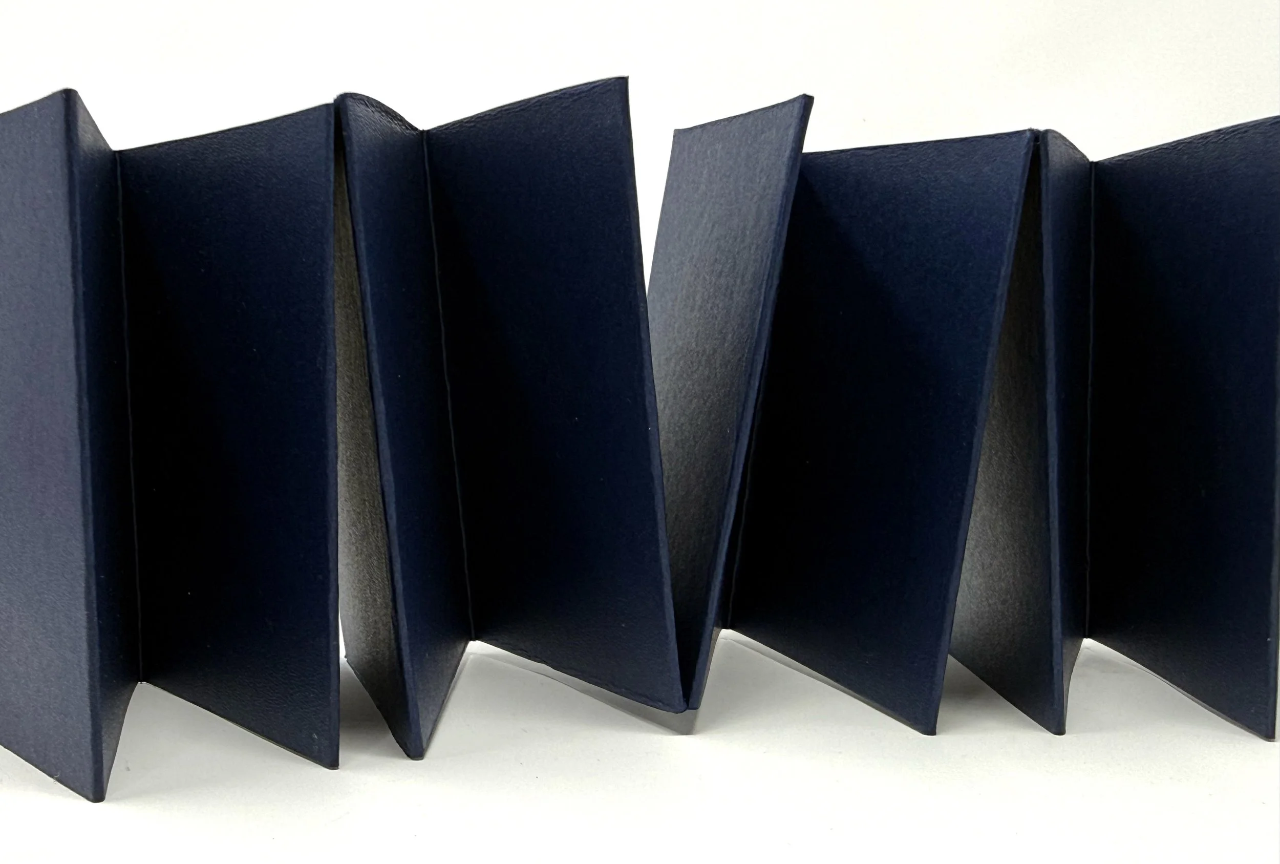 Freedom Papers Sample7.jpg