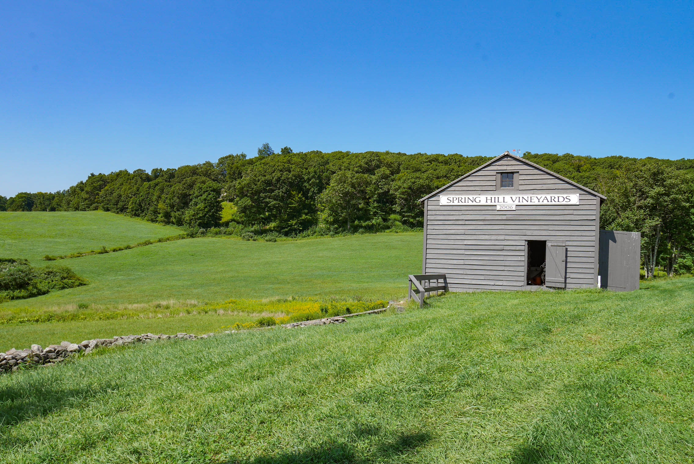 Spring Hill Vineyard - Washington © Hilary Adorno