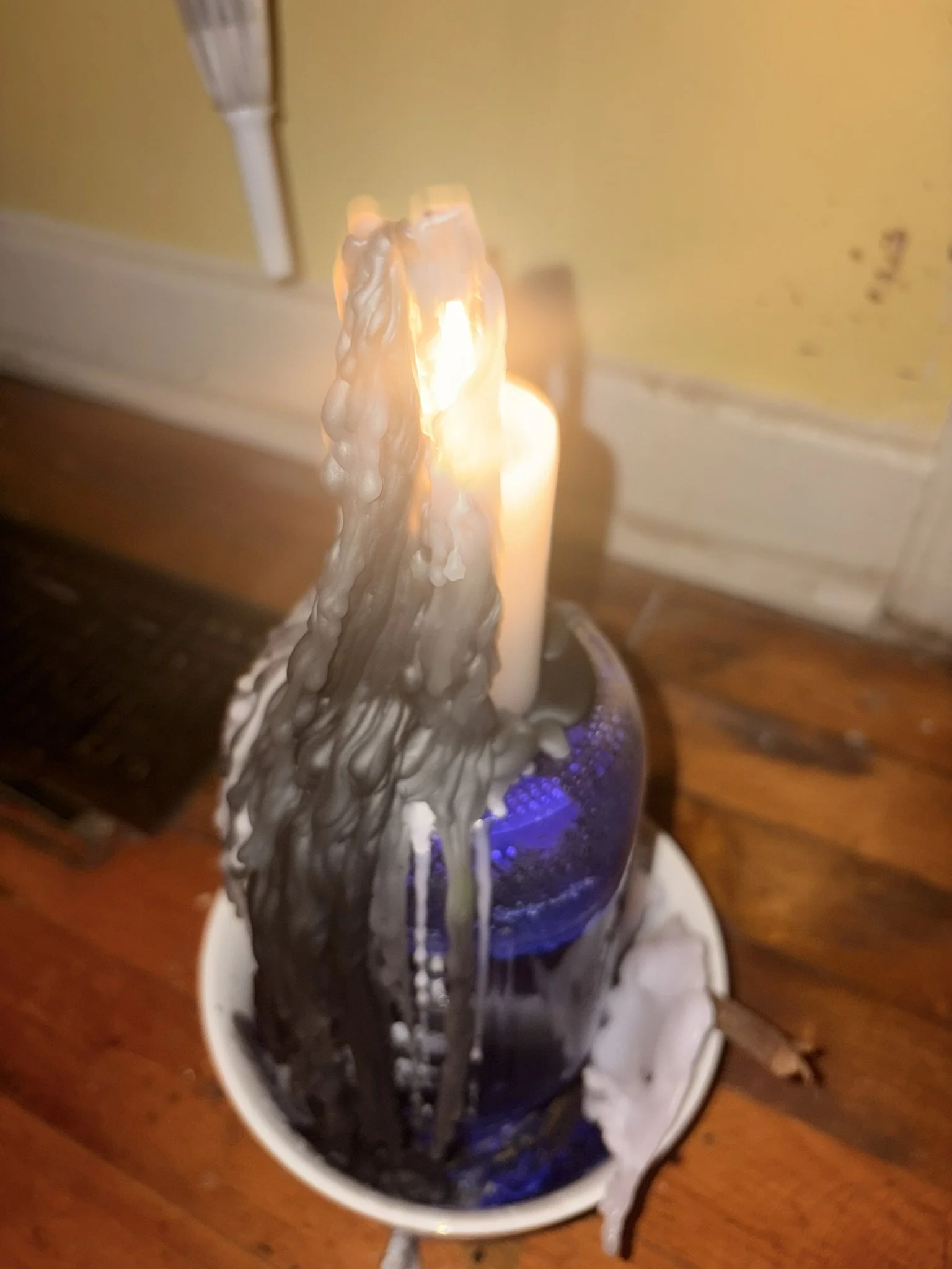 IMG_5473.JPEG