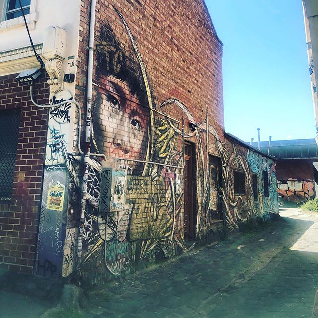 Street art Melbourne @extinctionrebellion 😎