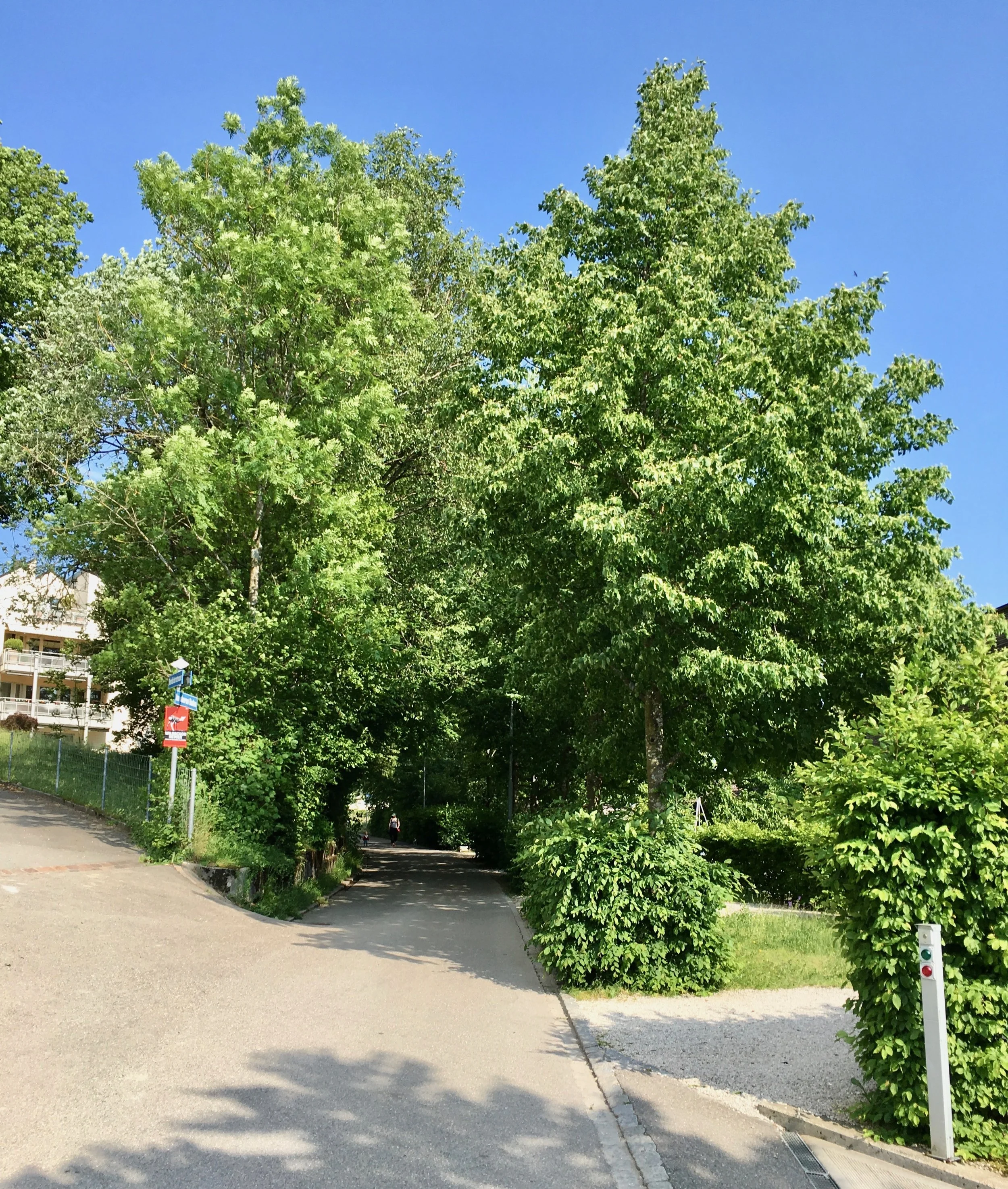 IMG_0720.jpeg