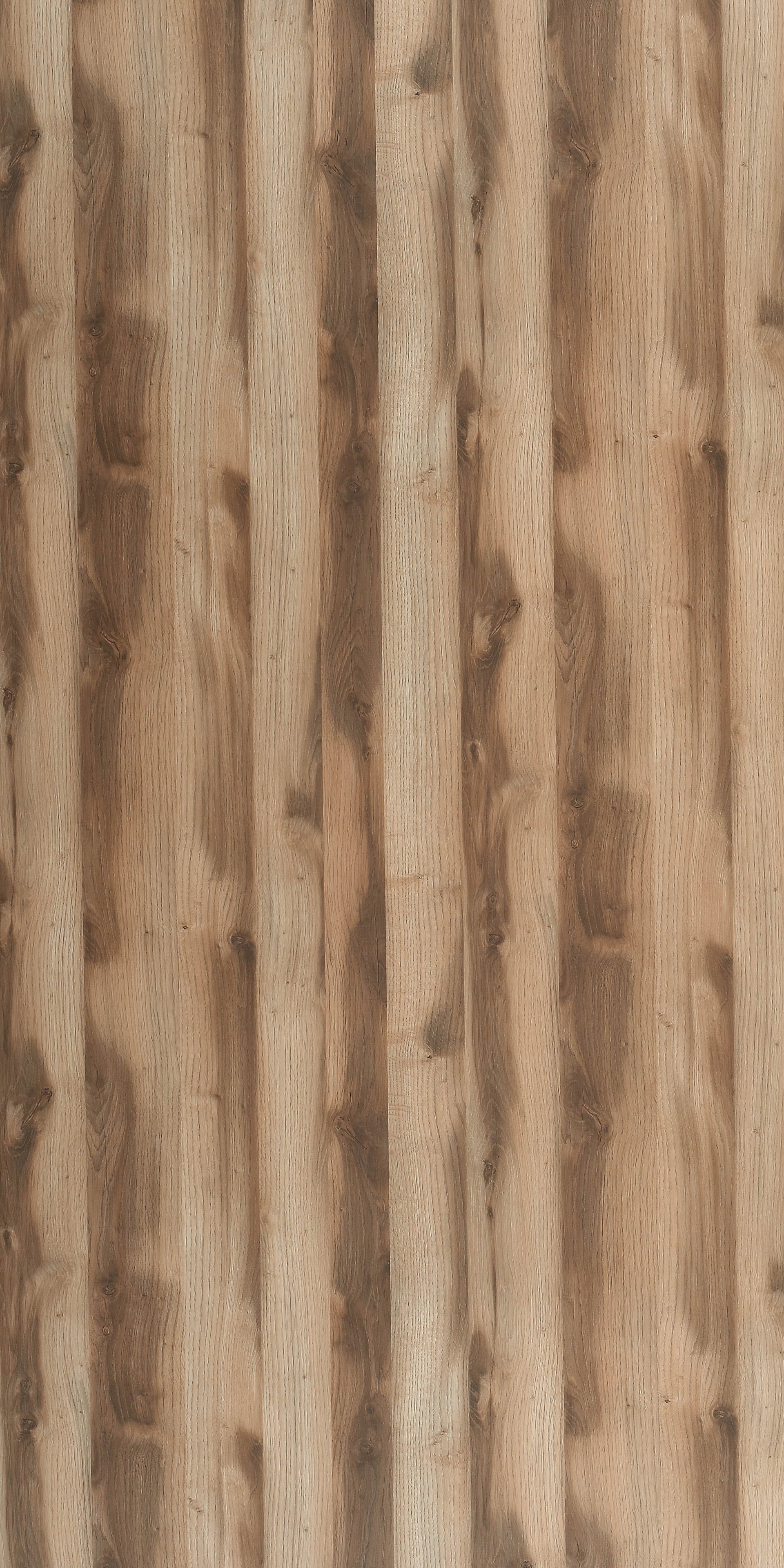 429922XL - SCOTIA OAK.jpg