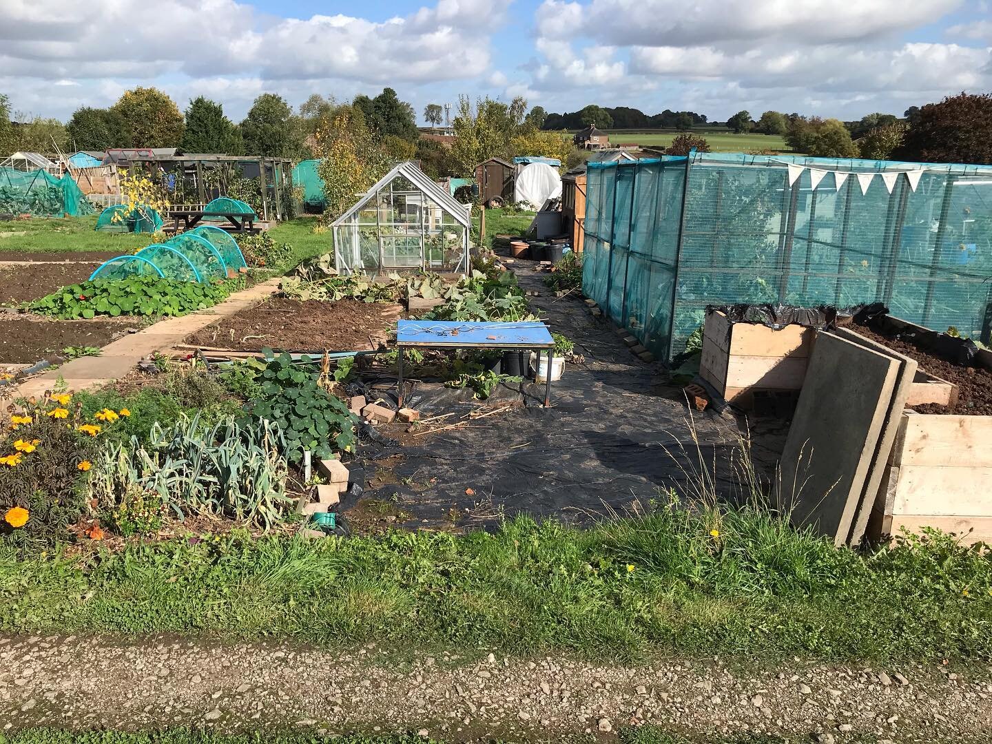 Wow! We have cleared the beans, cut back the marrows, courgettes and squash, planted some of the spring bulbs in the raised bed at the front and planted the garlic as well as weeding the paths not a bad job for 4 hours work with breaks 😜 

#growing#