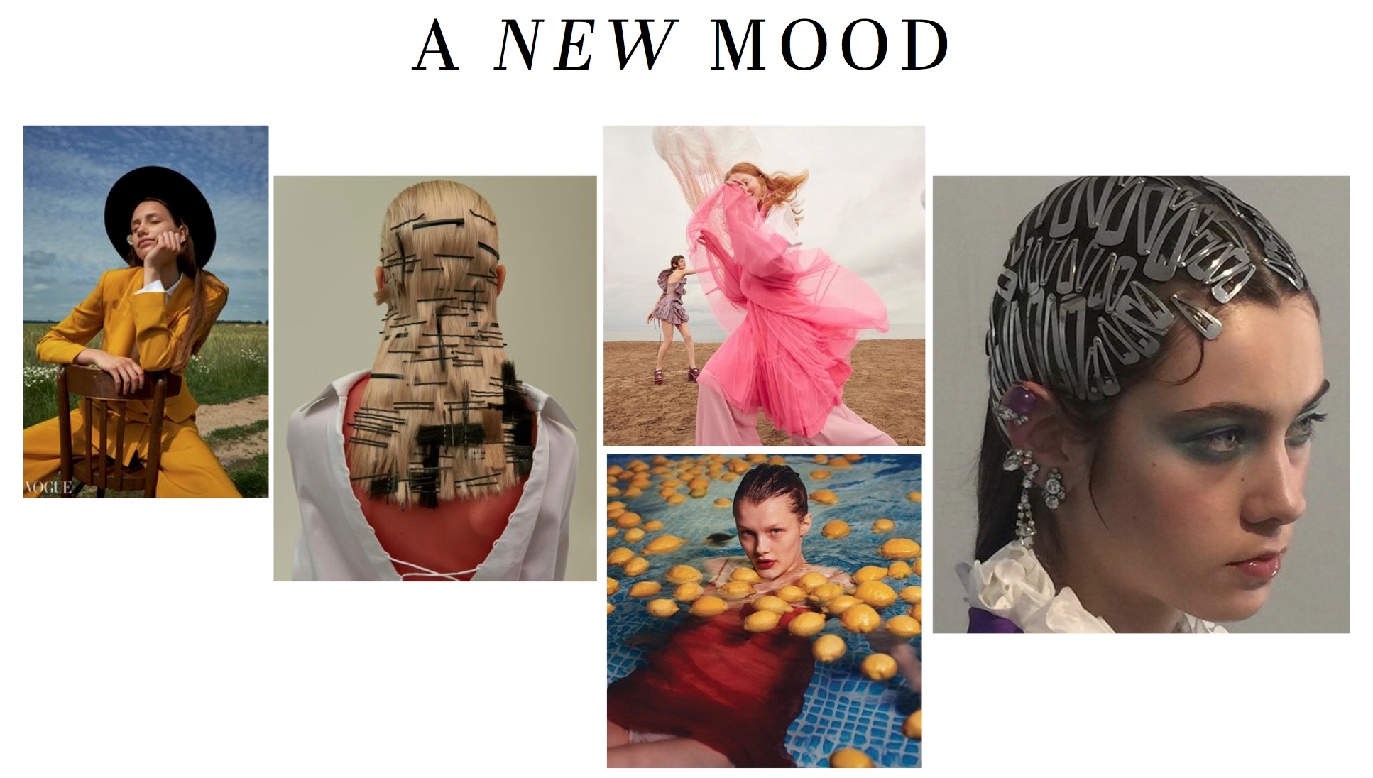 Untitled2.jpeg