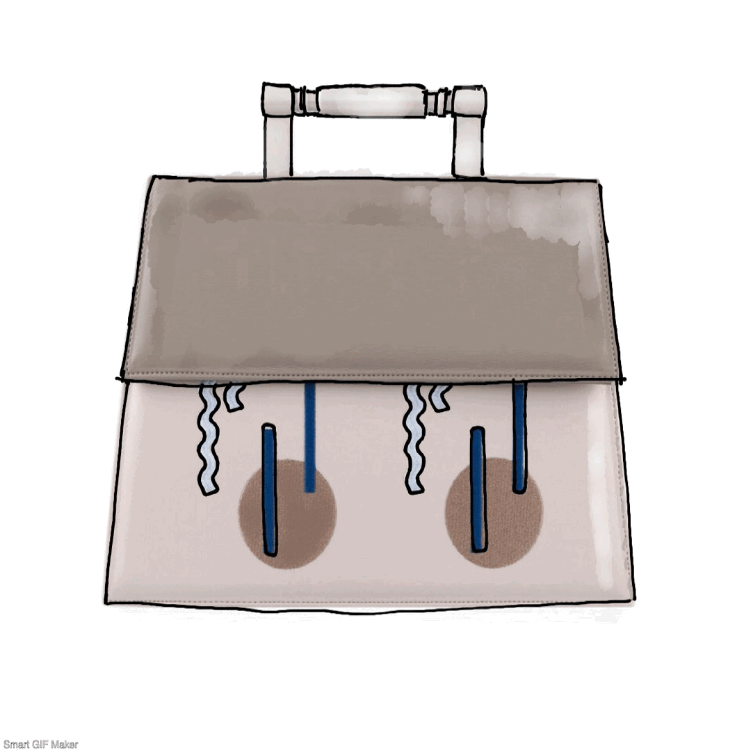 bag12.gif